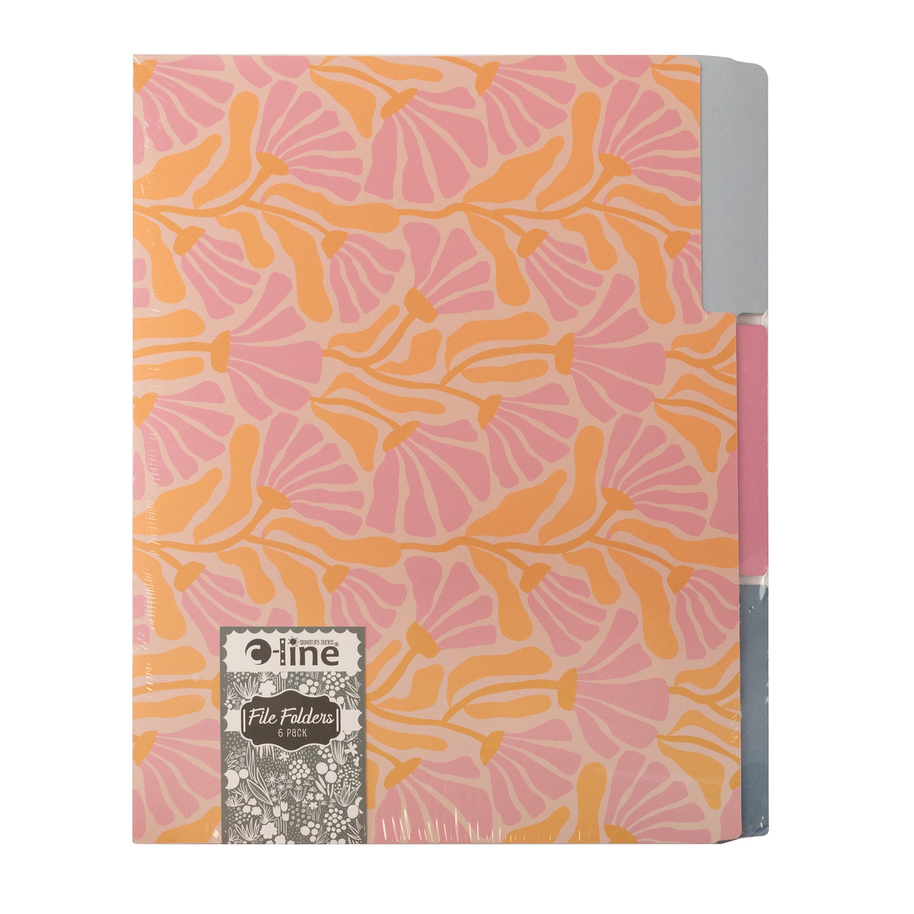 Signature Series™ File Folders, Assorted Designs, Pack of 6