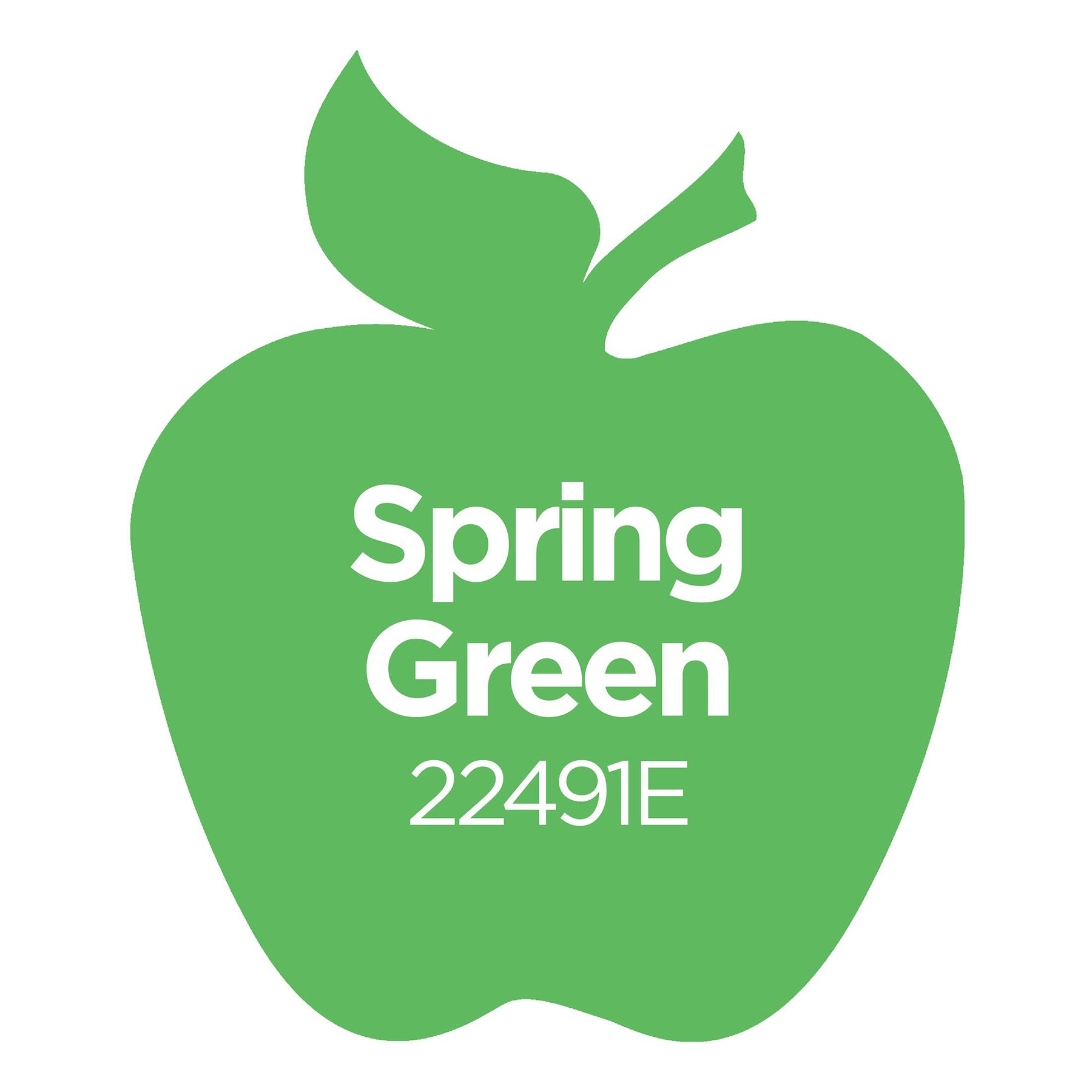 Acrylic Paint Matte, 16oz., Spring Green