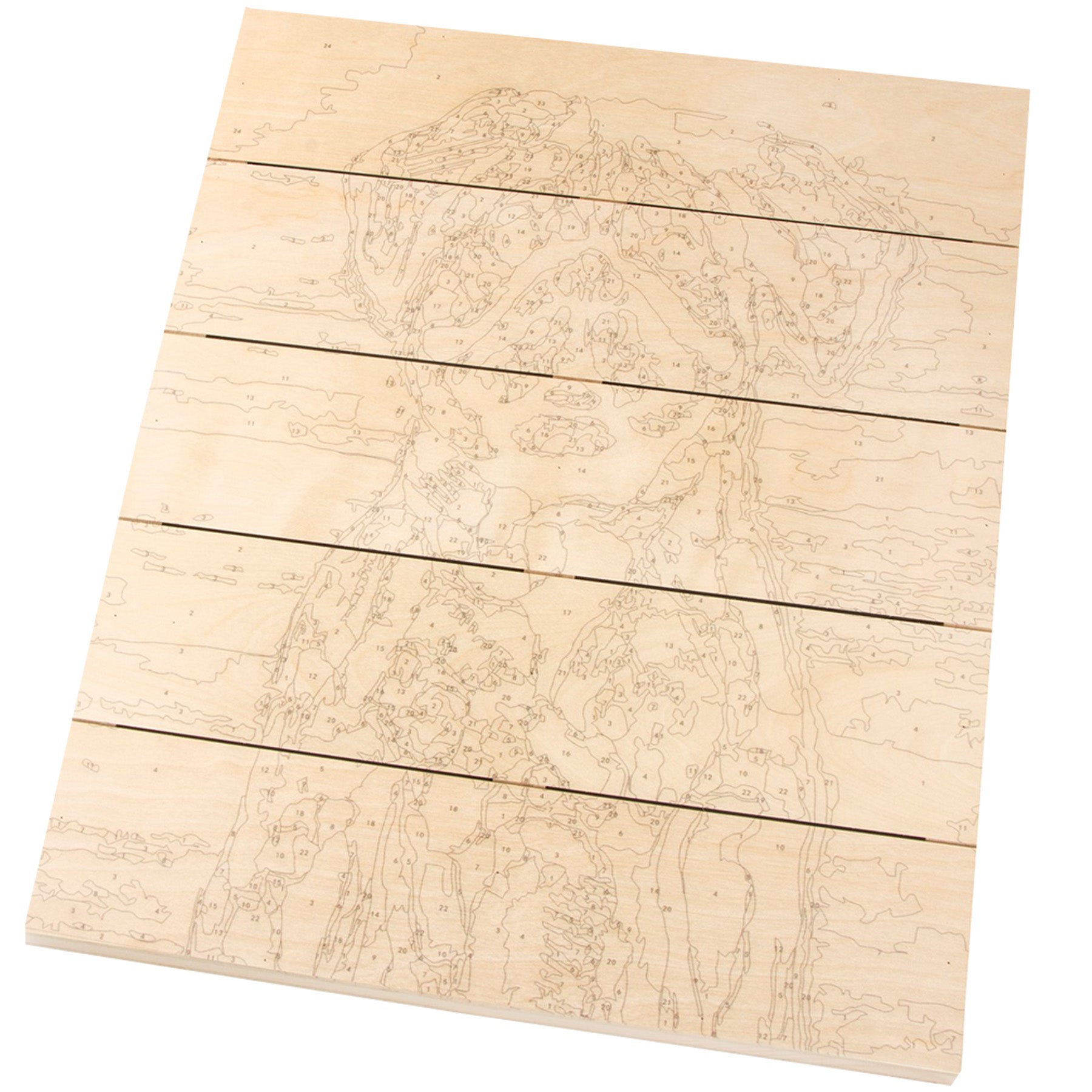 Large Paint On Wood by Number - Good Dog