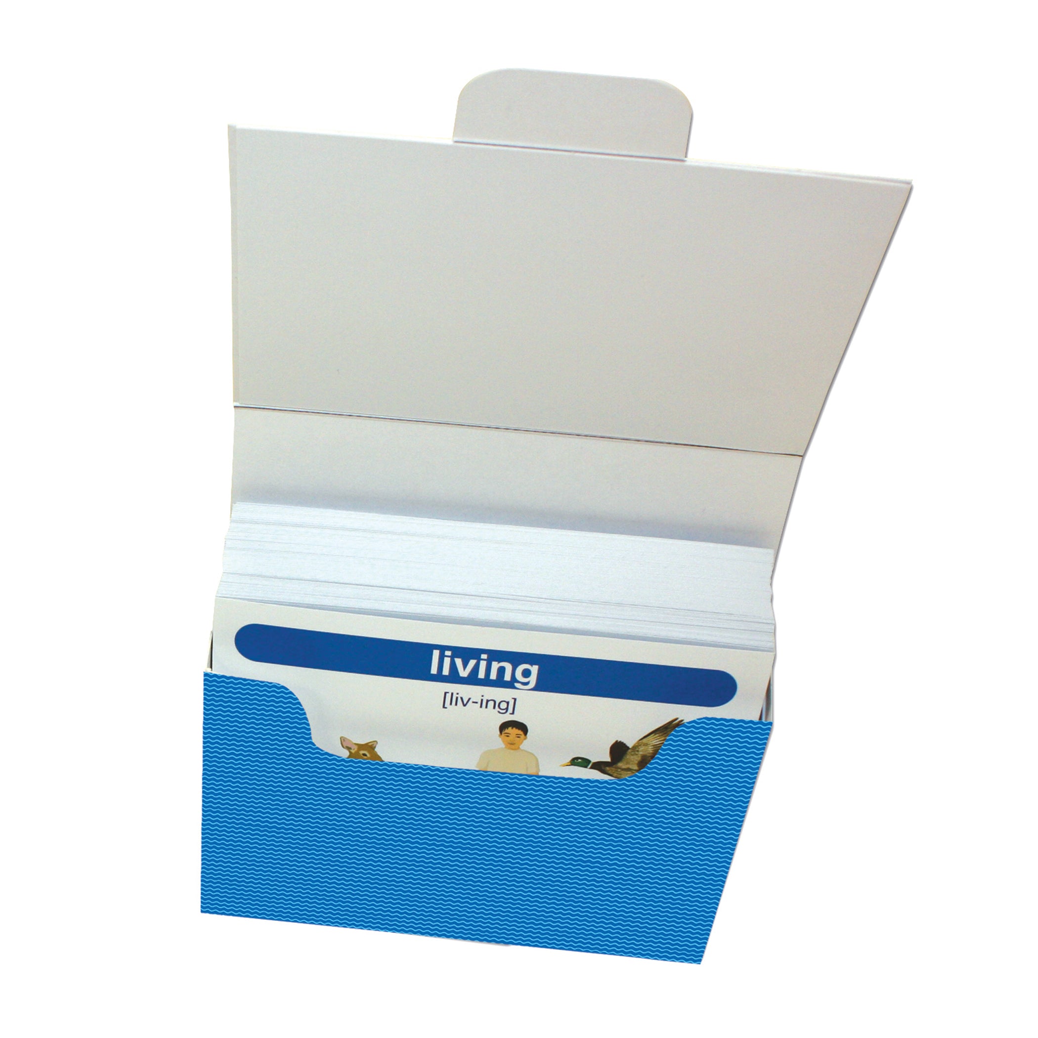 Science Vocabulary Builder Flash Card Set, Grades 1-2