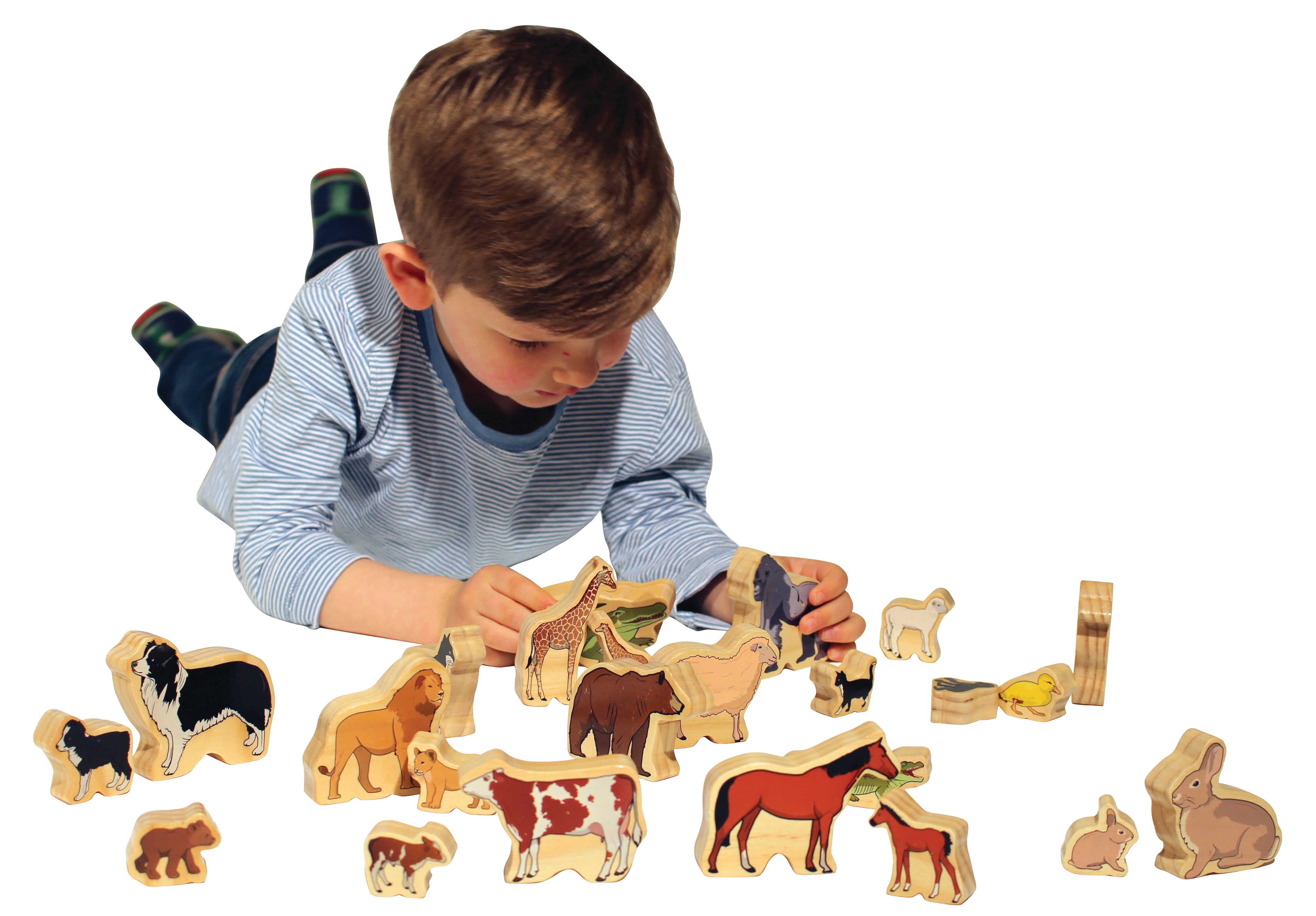Animal Families - Set of 24