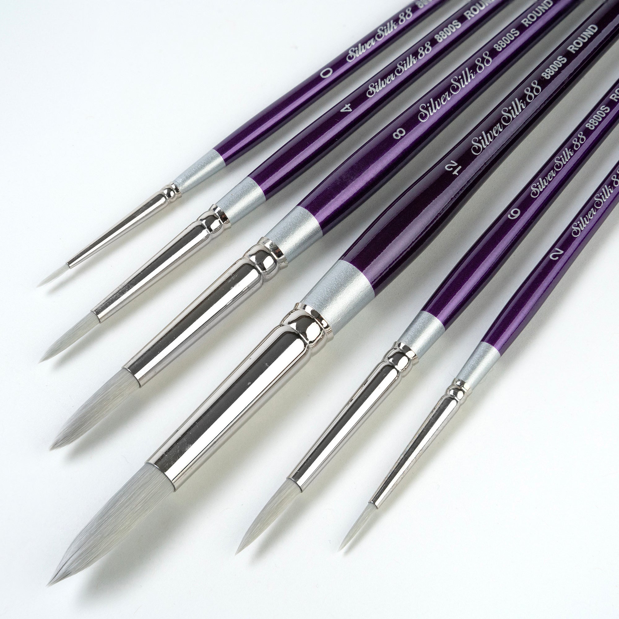 Silver Silk Rounds, 6 Brushes
