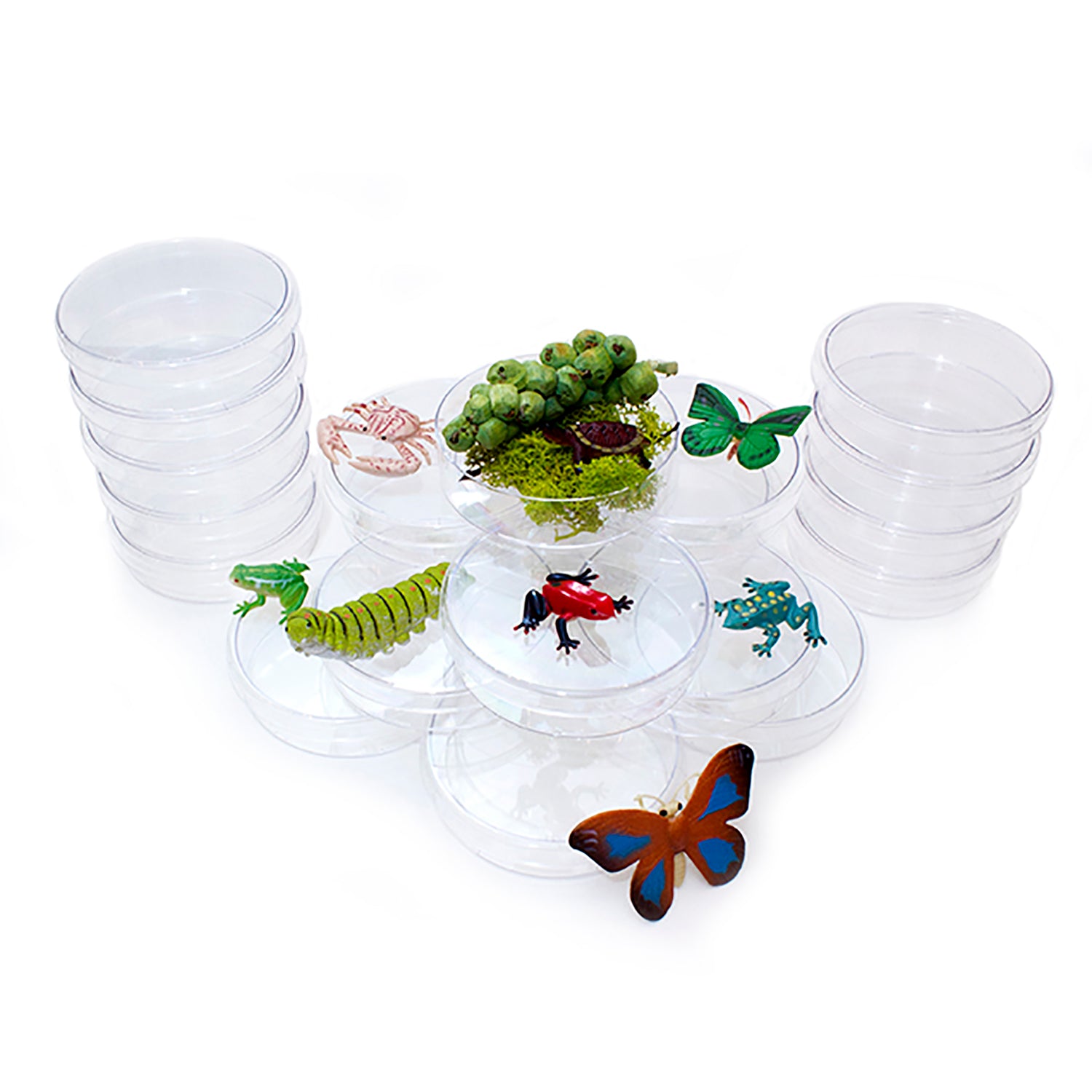 Petri Dishes, Extra Deep, Pack of 4
