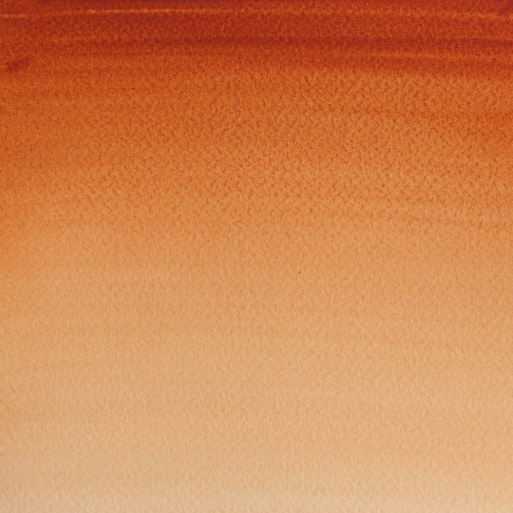CWC 21ml tube - Burnt Sienna
