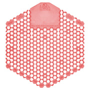 Wave 3D Deodorant Screen - Kiwi Grapefruit (60 Pack)