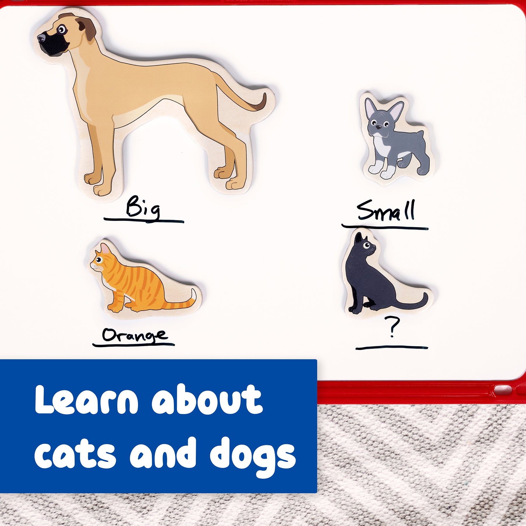 Wooden Magnets - Cats & Dogs - Set of 20