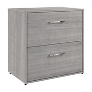 Bush Business Furniture Hustle 2 Drawer Lateral File Cabinet with Lock in Platinum Gray - Assembled - 29.65" Width x 19.61" Depth x 30" Height