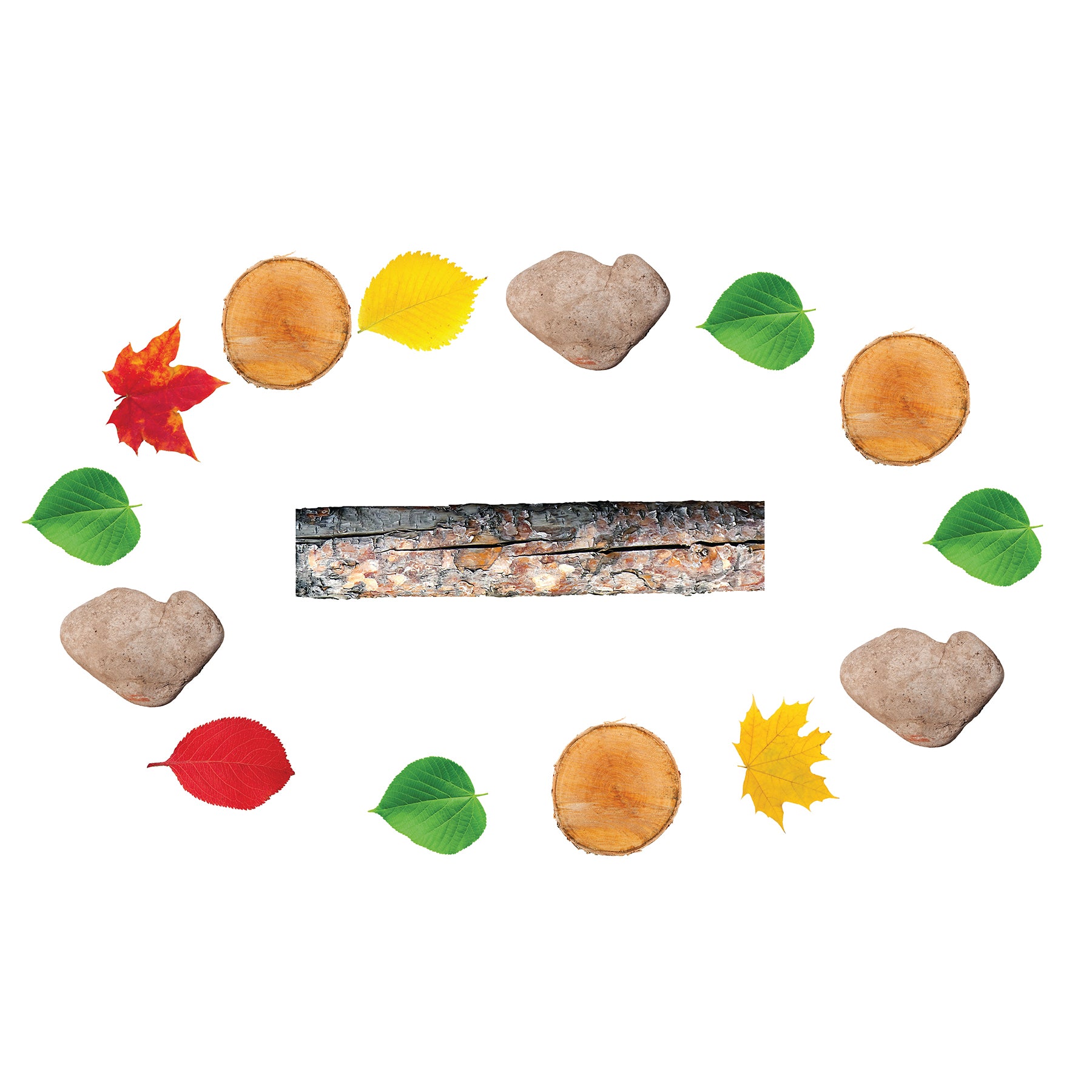 Nature's Footsteps - Set of 15 Nature-Inspired Rubber Mats - Ages 3+