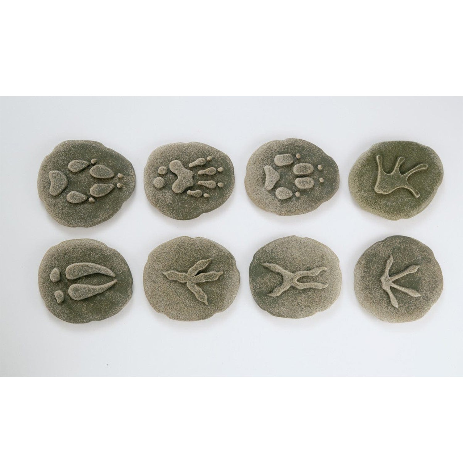 Let's Investigate Woodland Footprint Stones, Set of 8