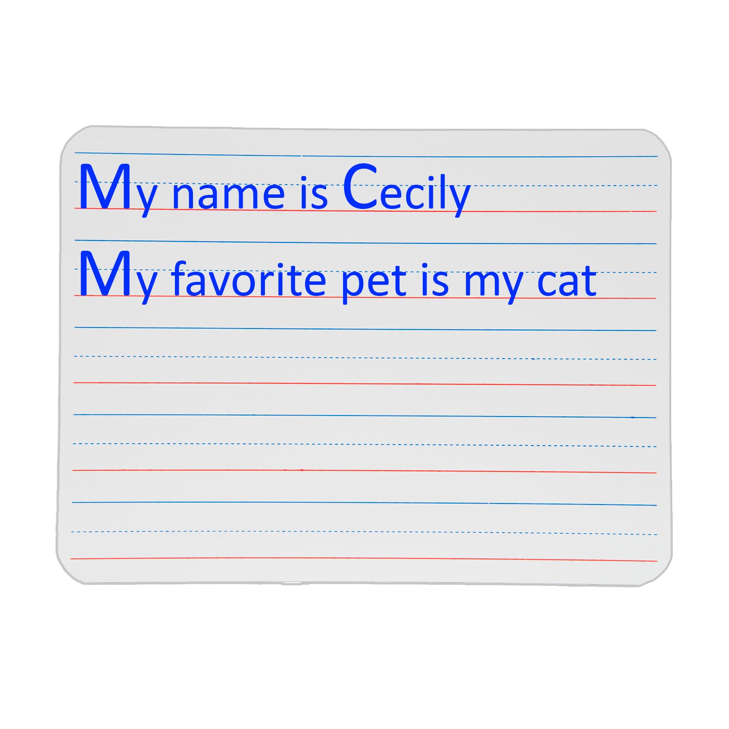 Two-Sided Dry Erase Board, Plain/Red & Blue Ruled, 9" x 12", Pack of 4