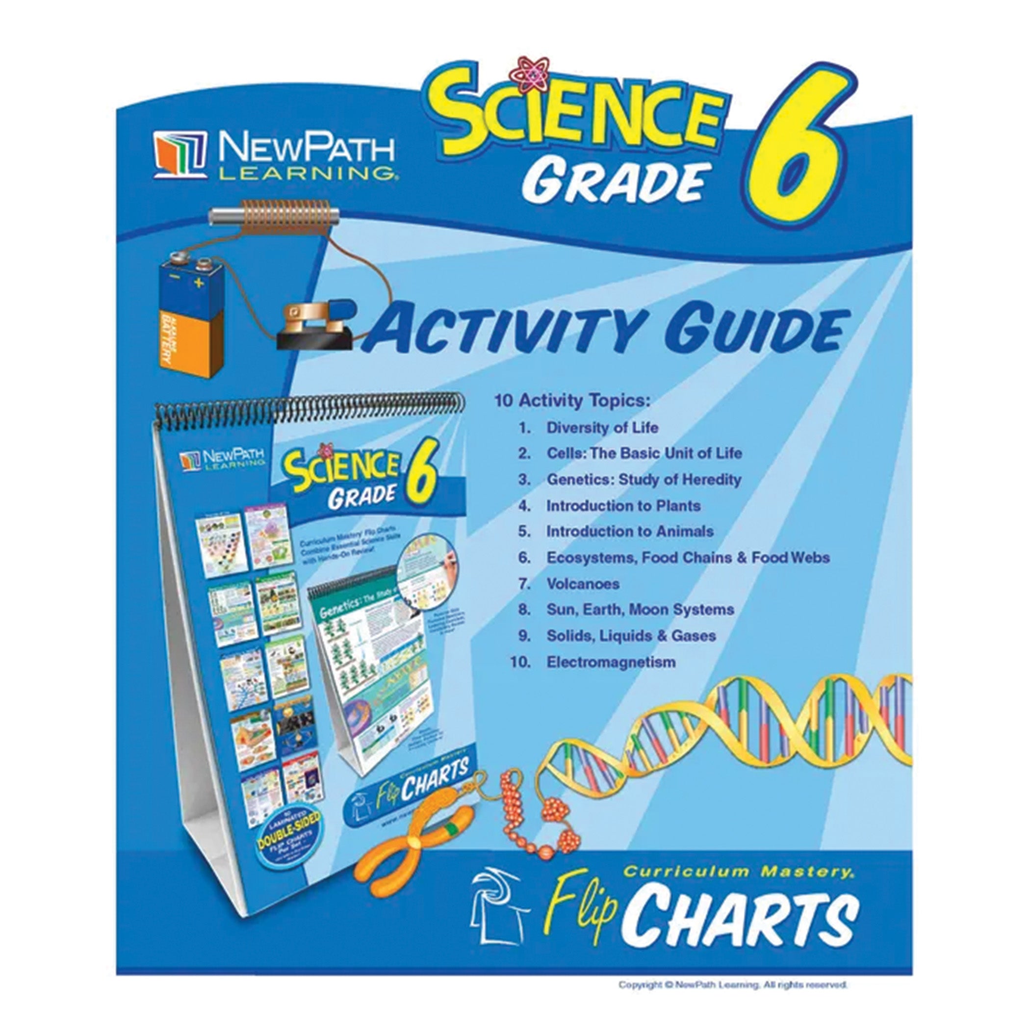Science Skills Curriculum Mastery® Flip Chart, Grade 6