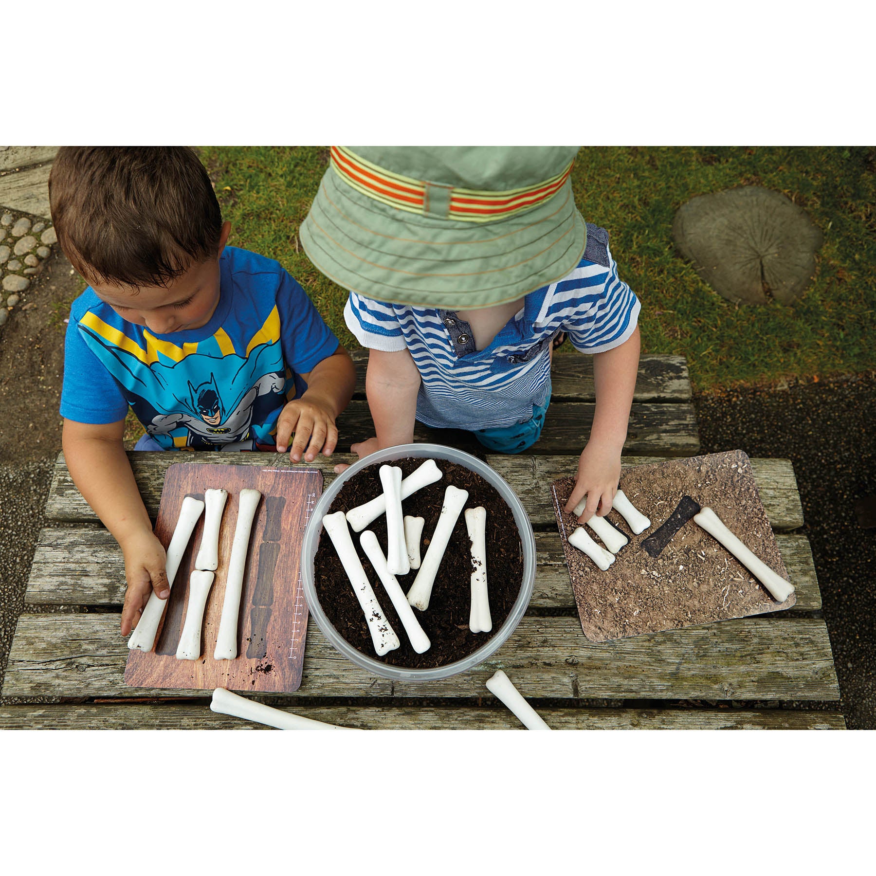 Dinosaur Bones Match and Measure Activity Cards