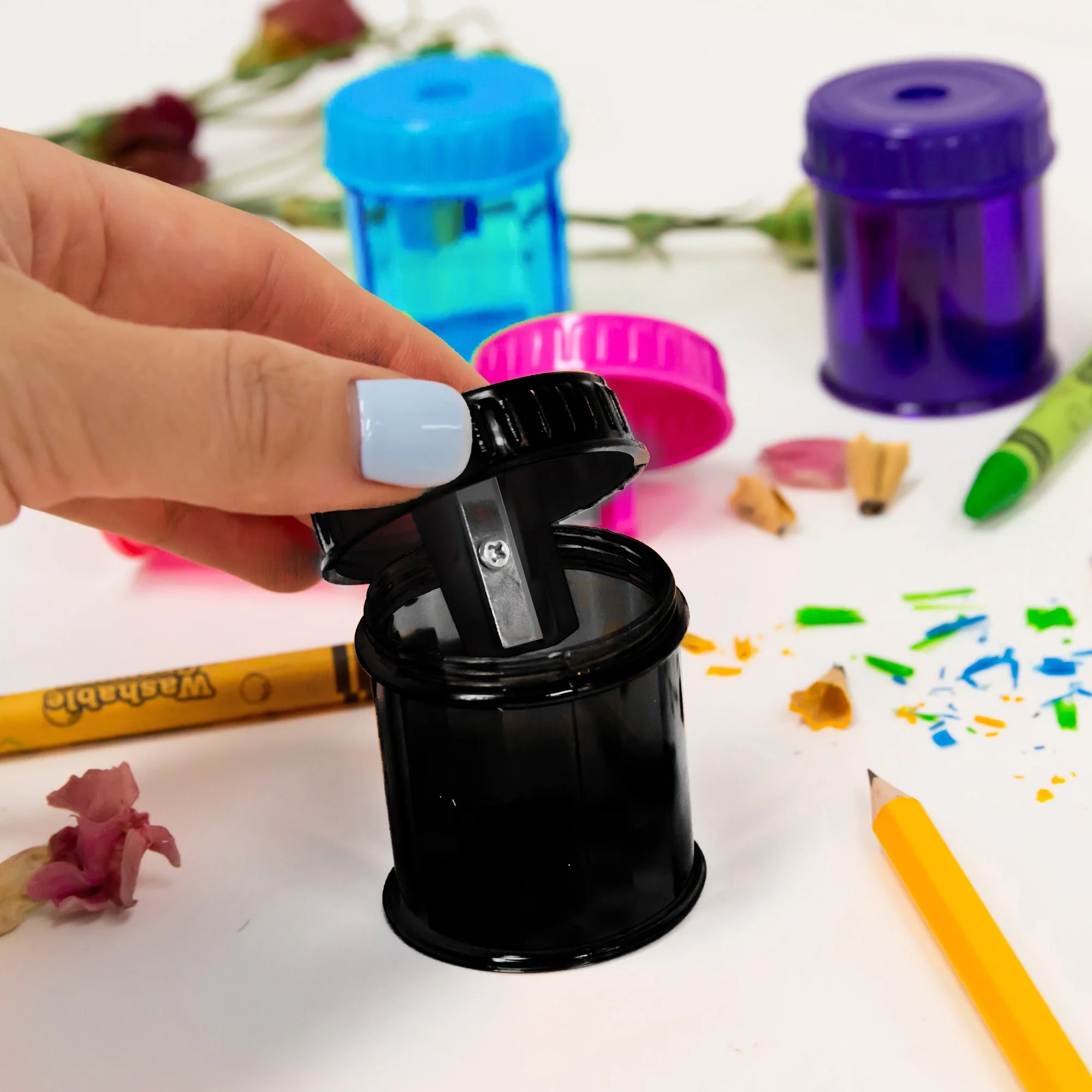 Dual Blade Square Sharpener with Receptacle & Round Receptacle Sharpener, Assorted Colors