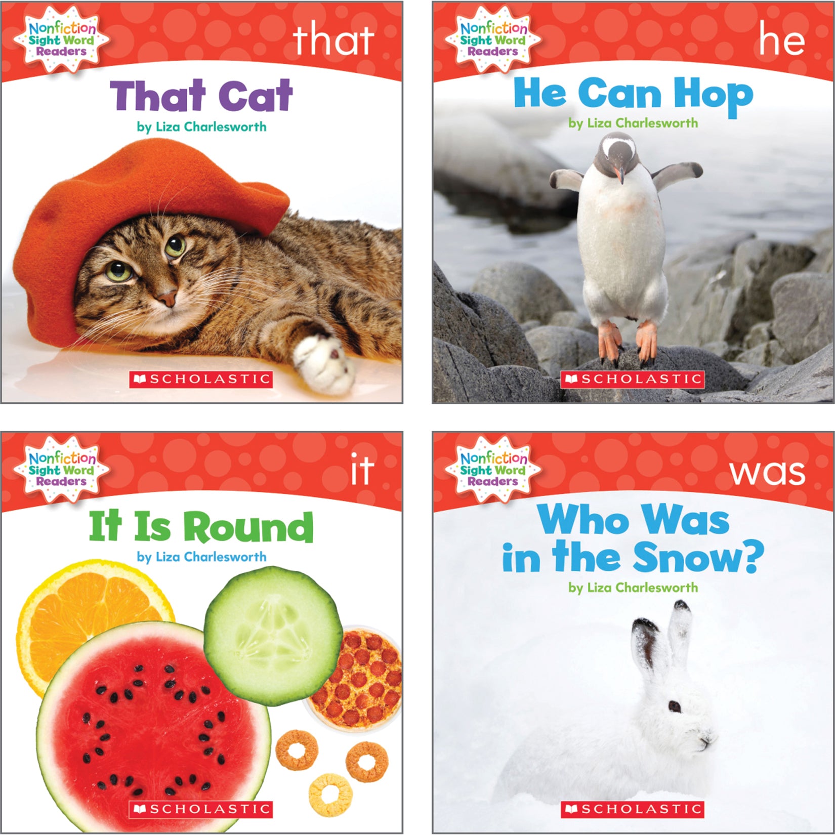 Nonfiction Sight Word Readers Classroom Tub, Level A, 6 Copies of 25 Titles