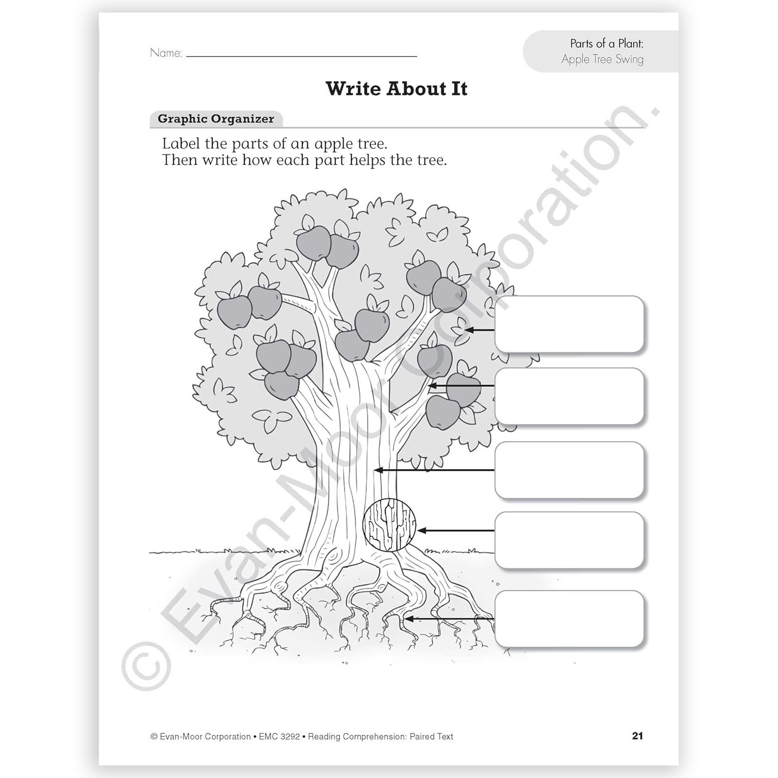 Reading Comprehension: Paired Text, Grade 2