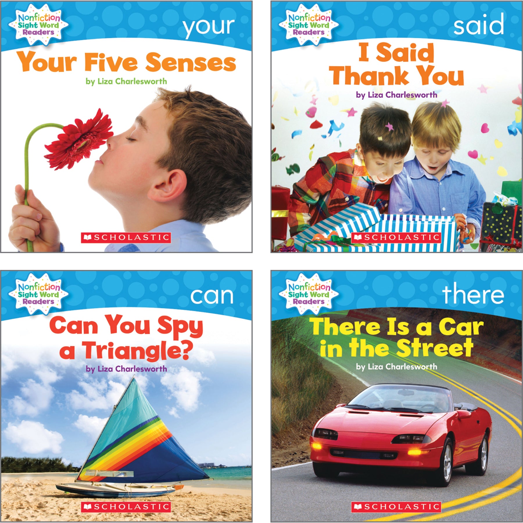 Nonfiction Sight Word Readers Classroom Tub, Level B, 6 Copies of 25 Titles