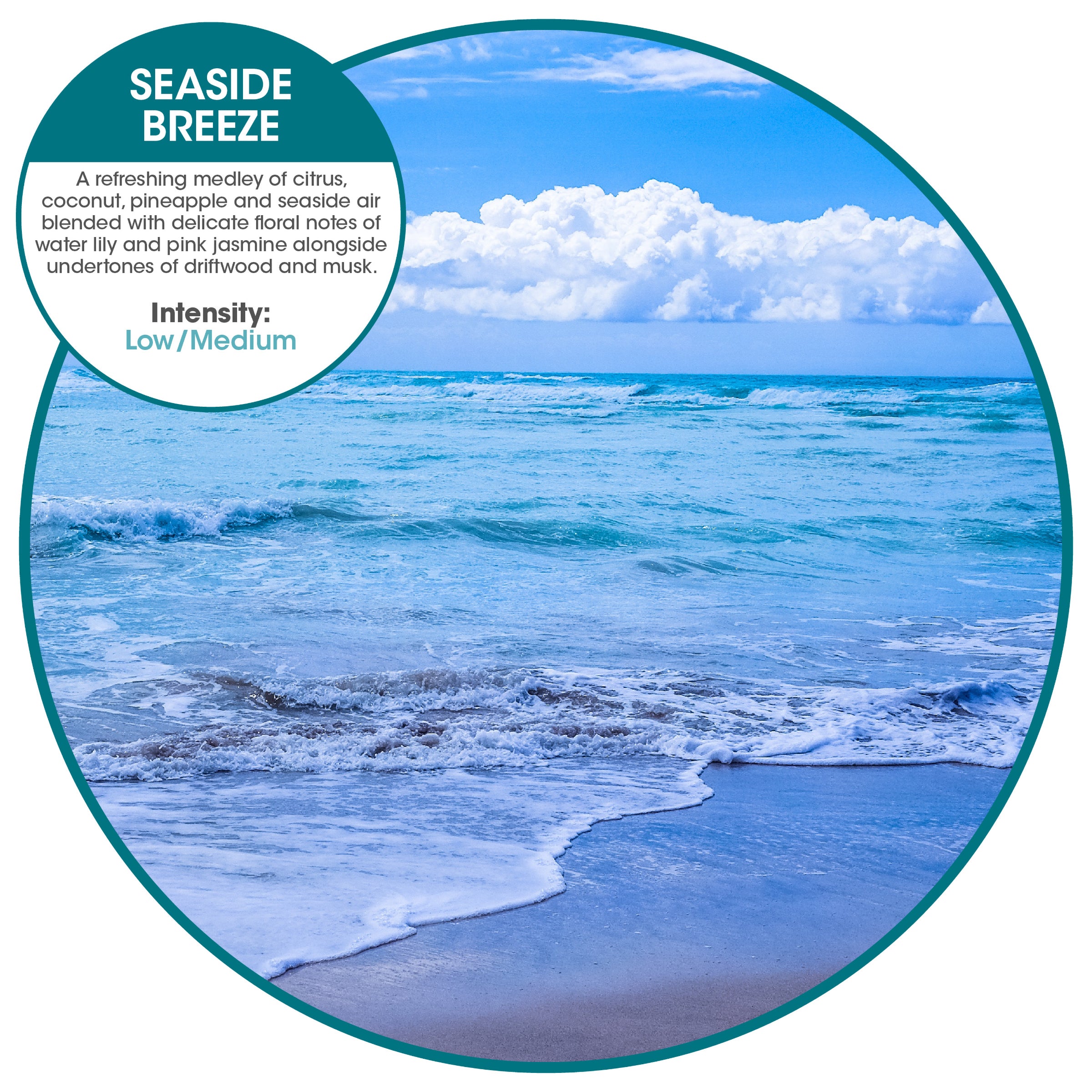 My Fresh refill - Seaside Breeze (36 Pack)