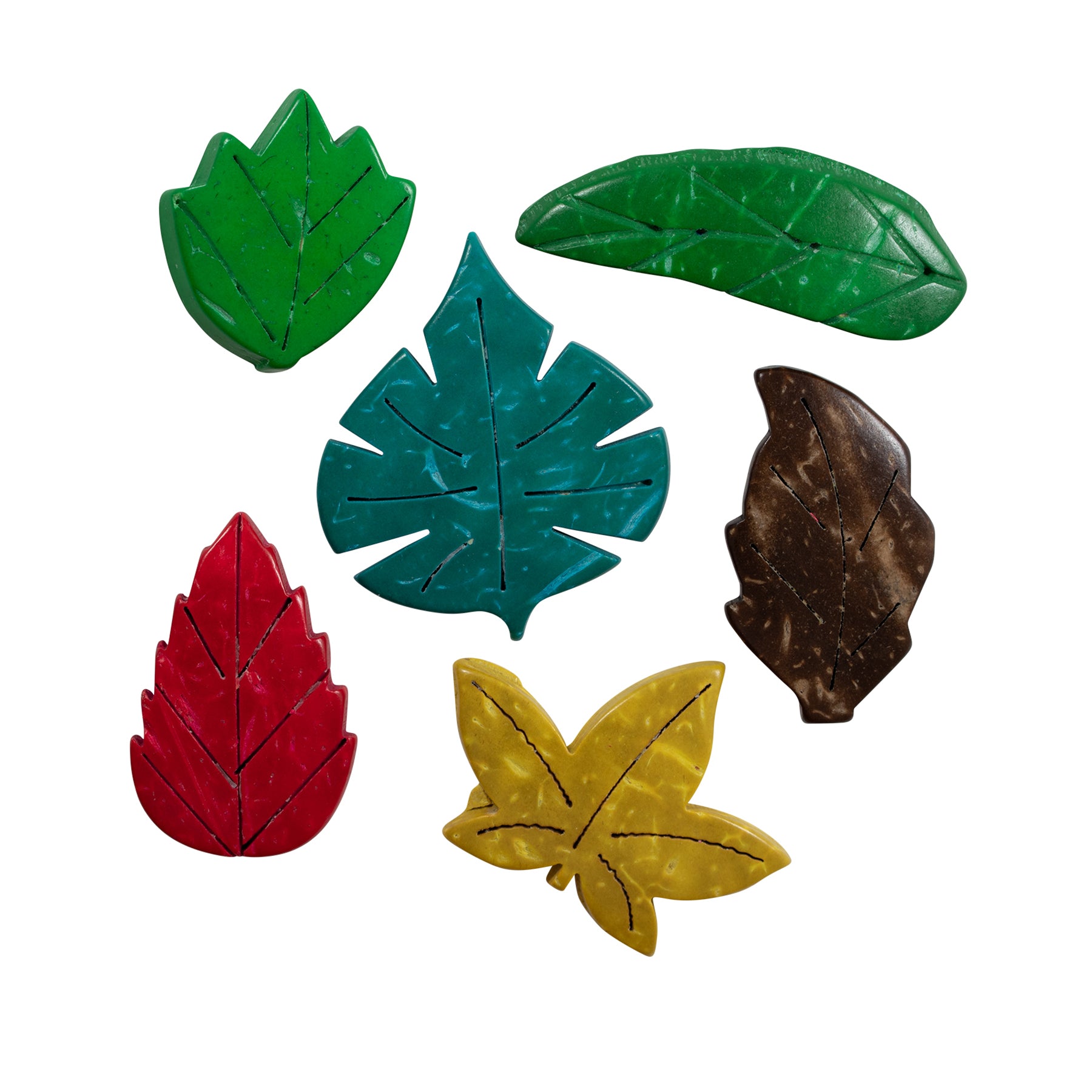 Coconut Leaves, Set of 50