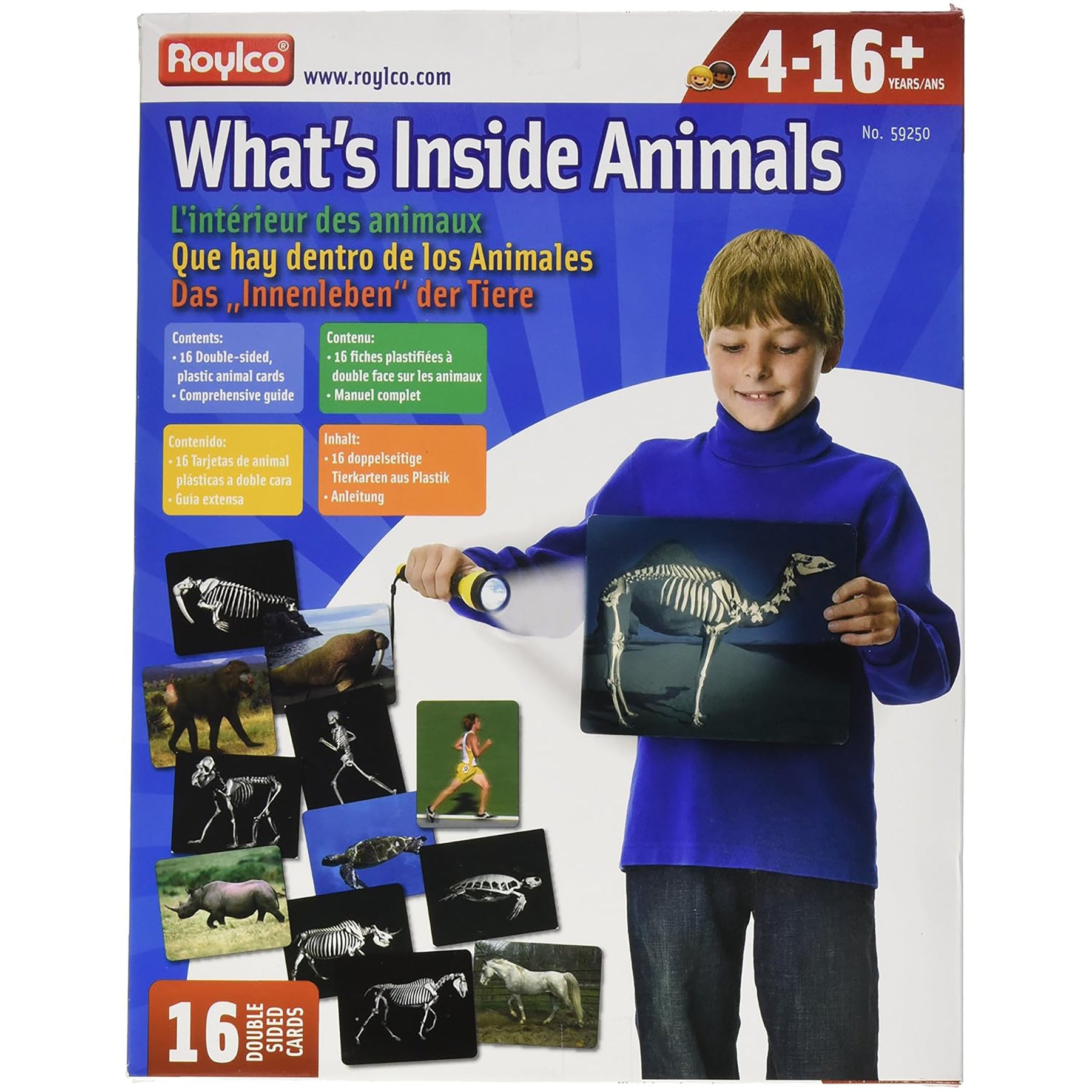What’s Inside Animals Card Set