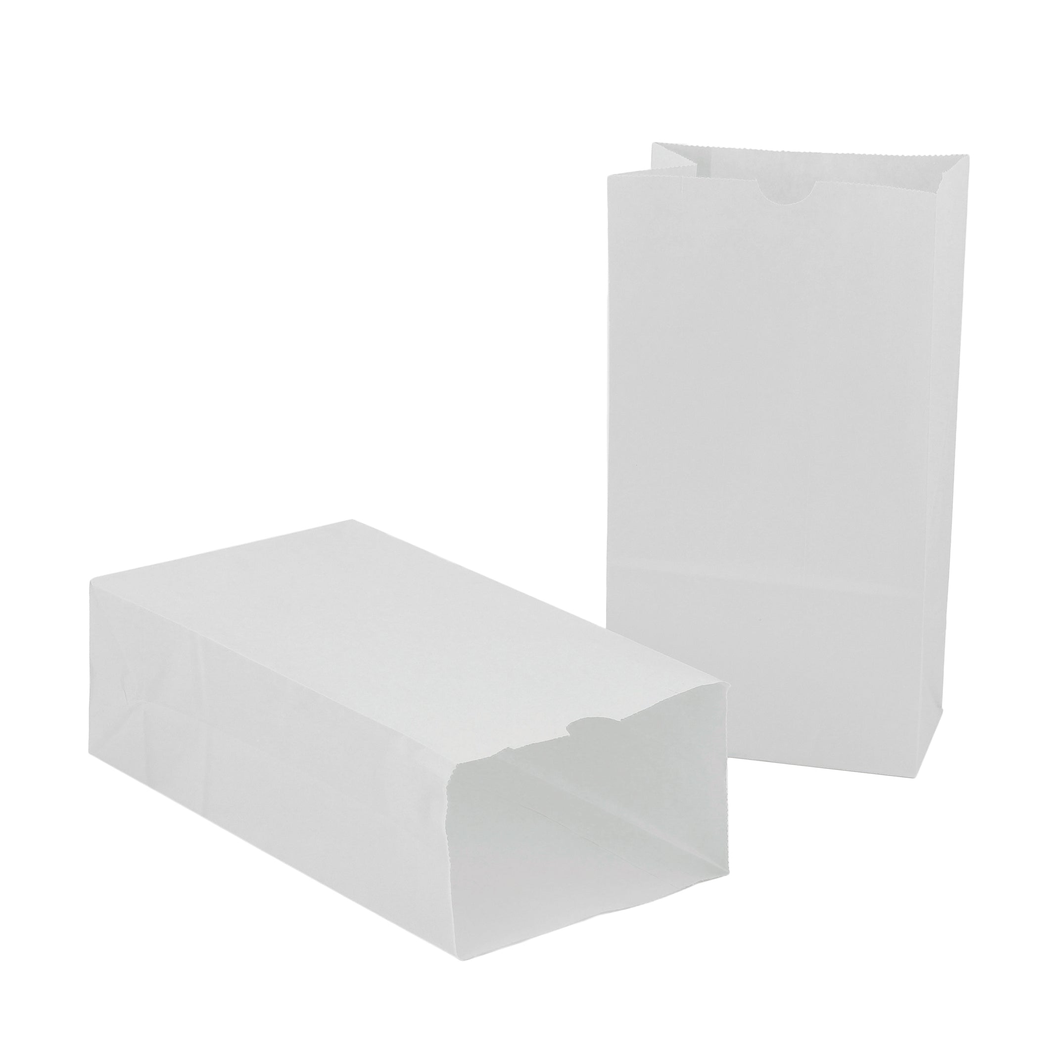 Paper Bags Size #6 - 100 per pkg, White