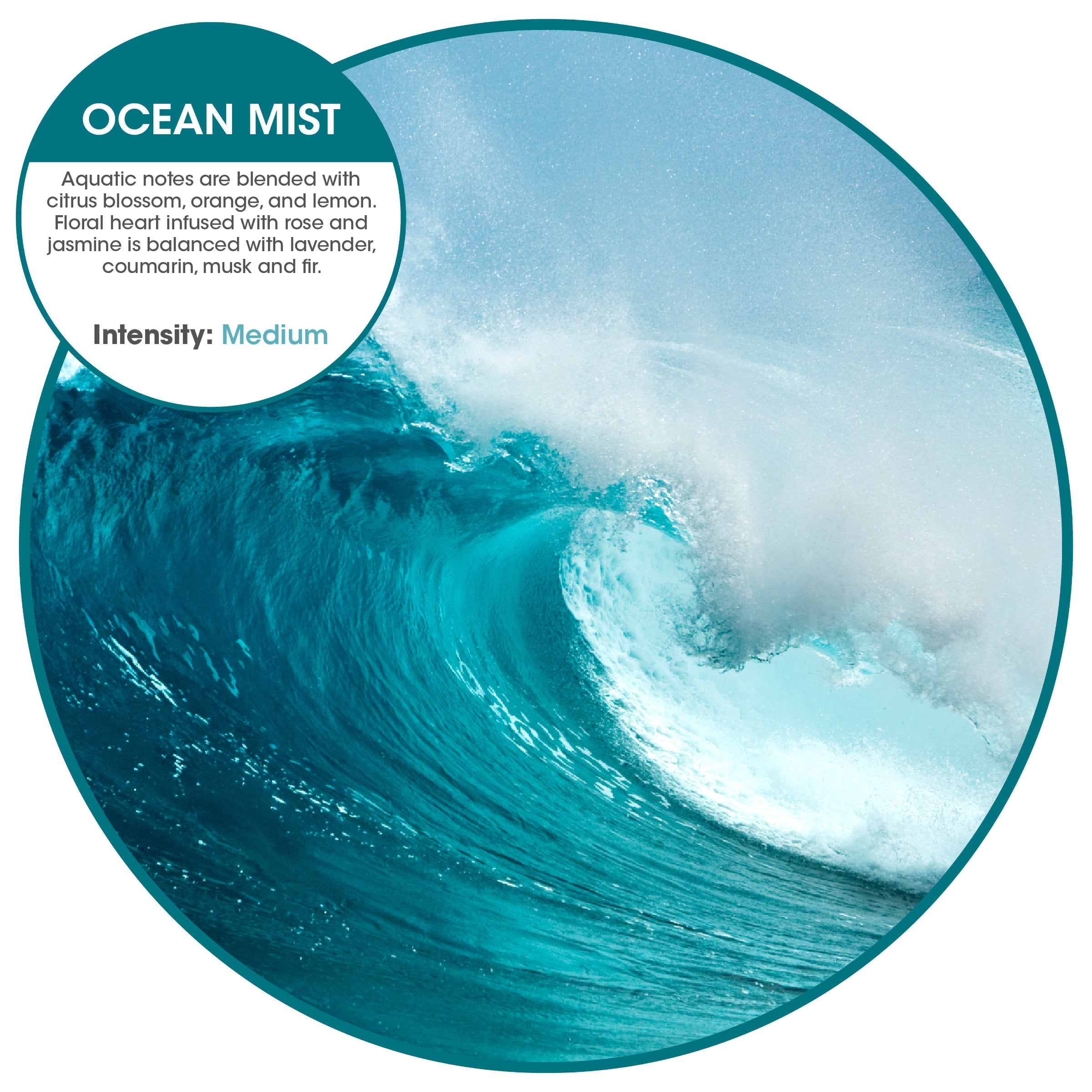 Easy Fresh 2.0 refills (w/o battery) Ocean Mist (72 Pack)