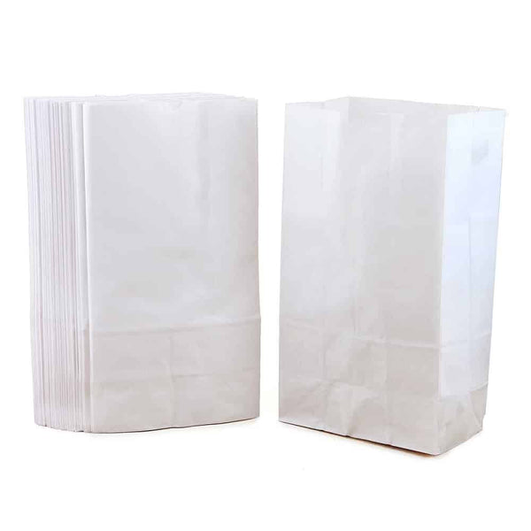 Paper Bags Size #2 -  White/ 100 per pkg