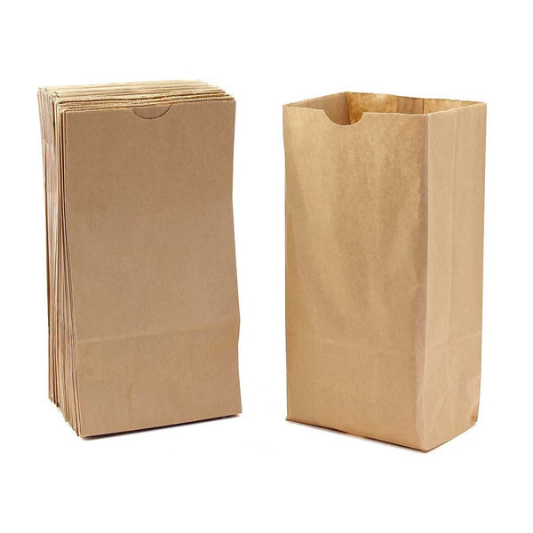 Paper Bags Size #2 -  Natural/ Kraft/ 100 per pkg