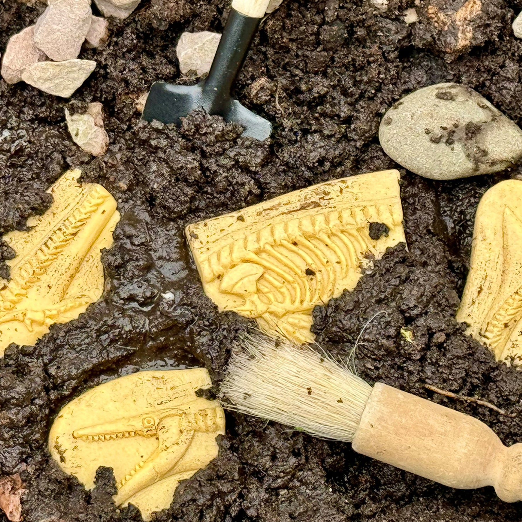 Dig and Discover - Pliosaur & Stegosaurus