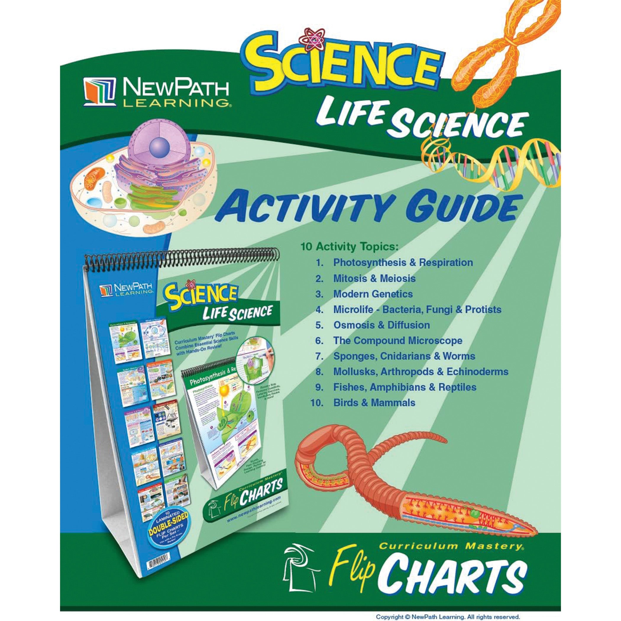 Life Science Curriculum Mastery® Flip Chart