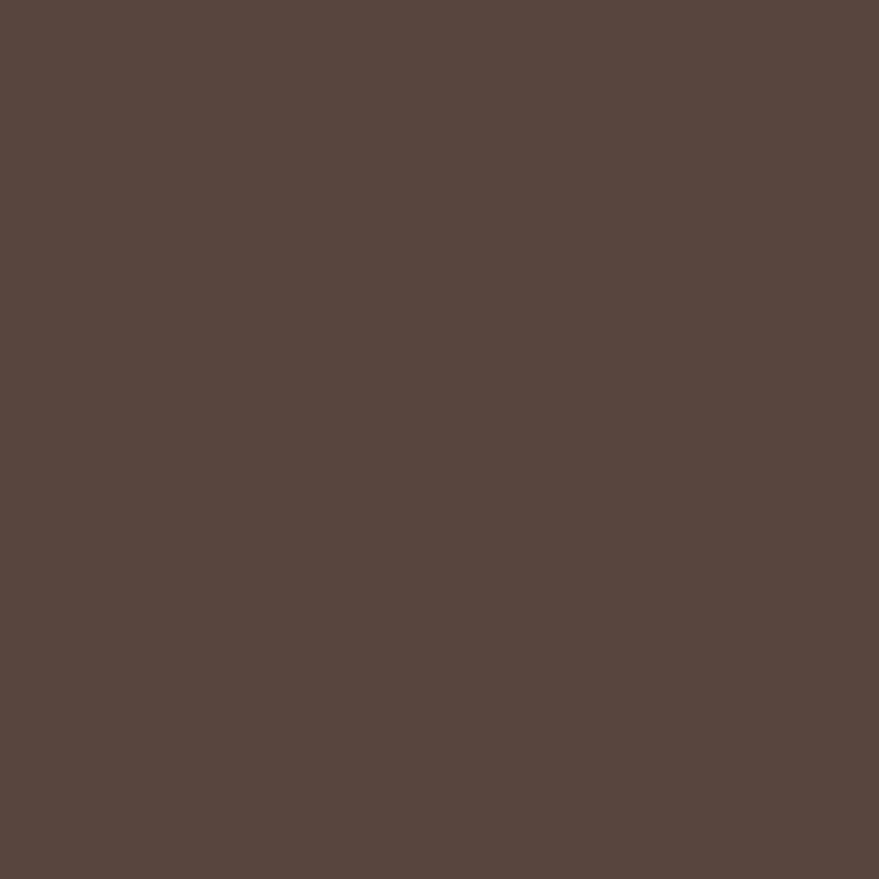 Acrylic Paint Matte, 8oz., Burnt Umber