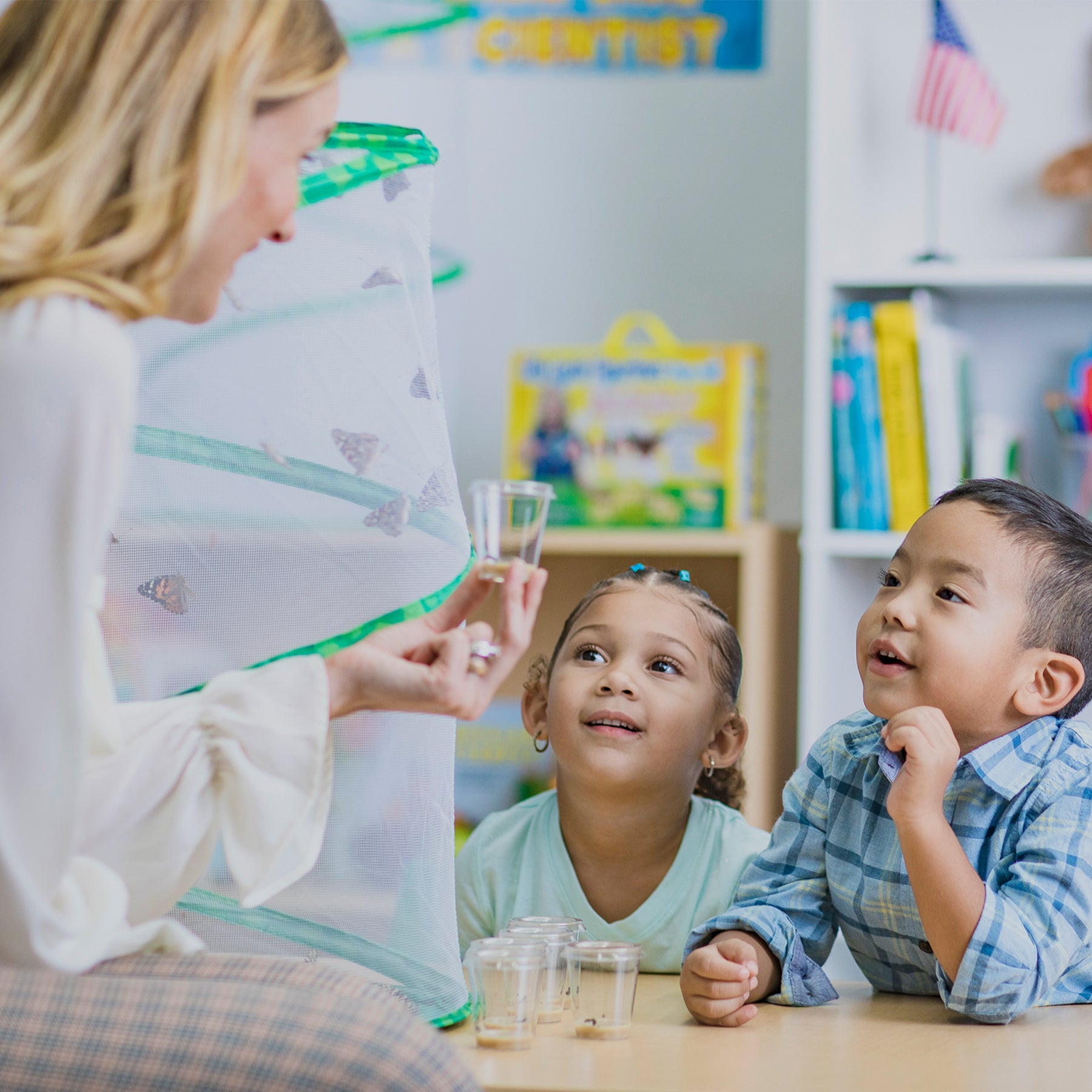Butterfly Growing Classroom Prepaid Kit, Voucher for 33 Caterpillars