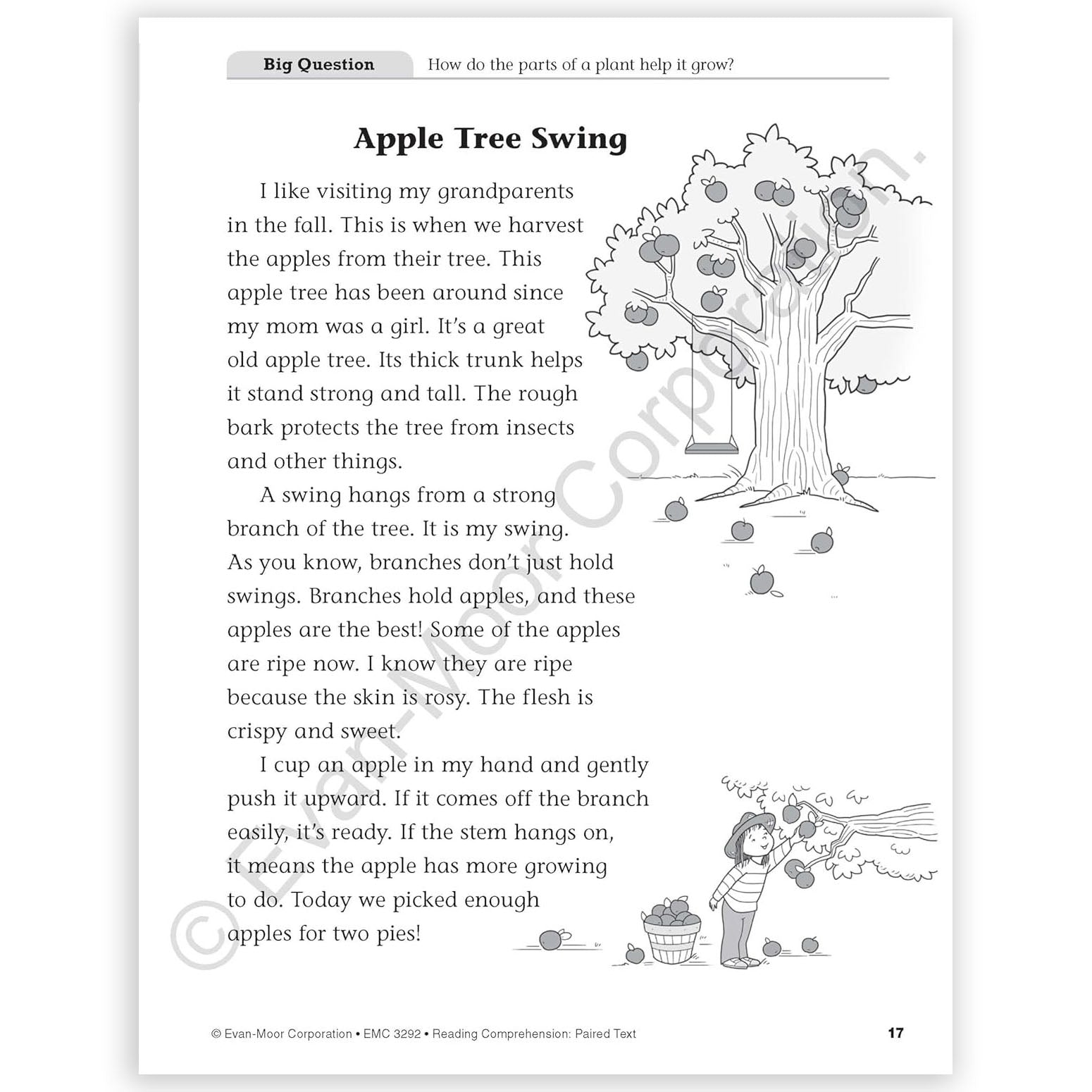 Reading Comprehension: Paired Text, Grade 2