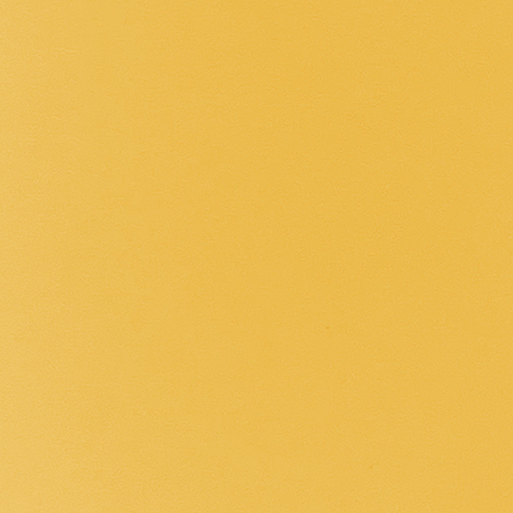 Rolled Scalloped Bulletin Board Border, Goldenrod, 65 Feet