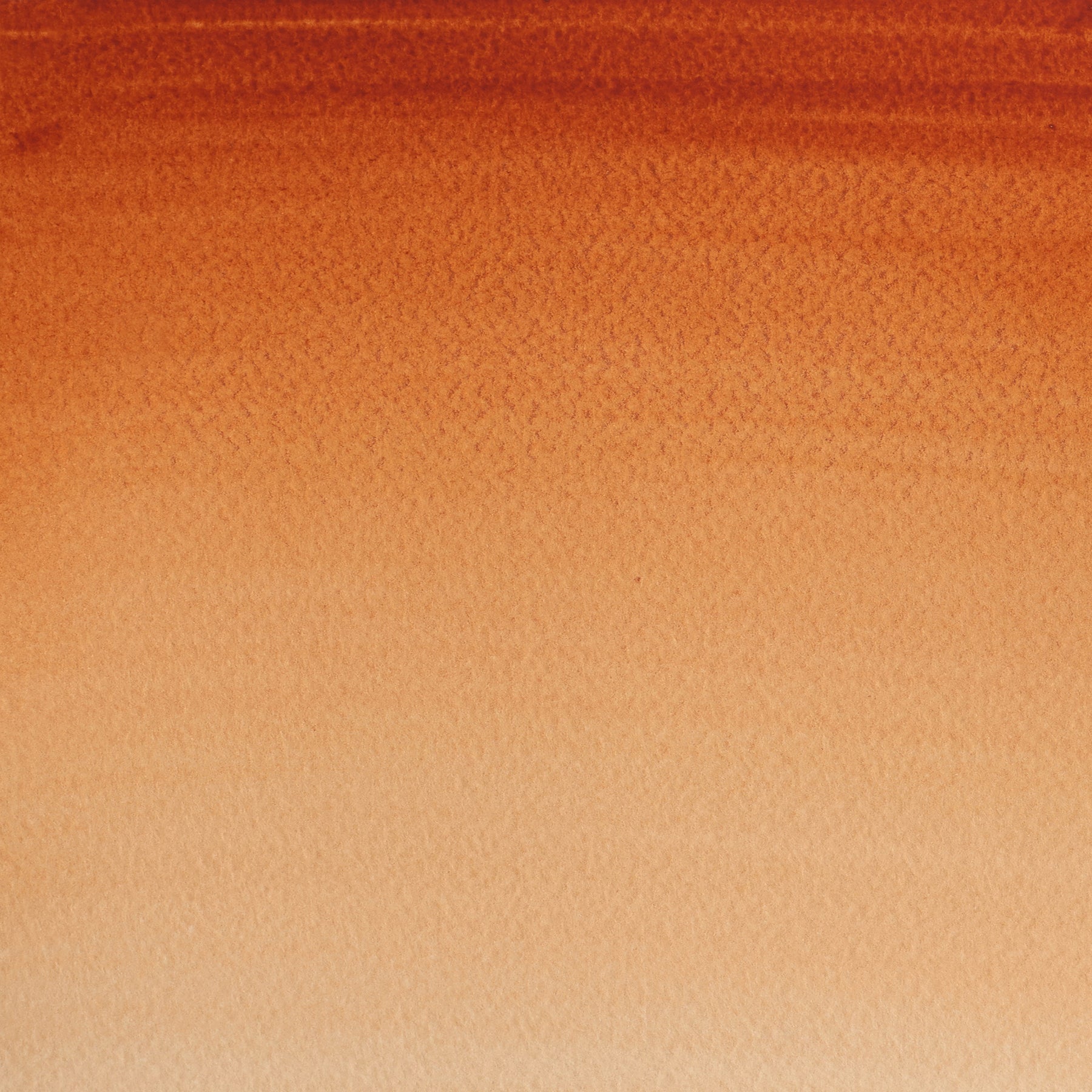 CWC Half Pan - Burnt Sienna