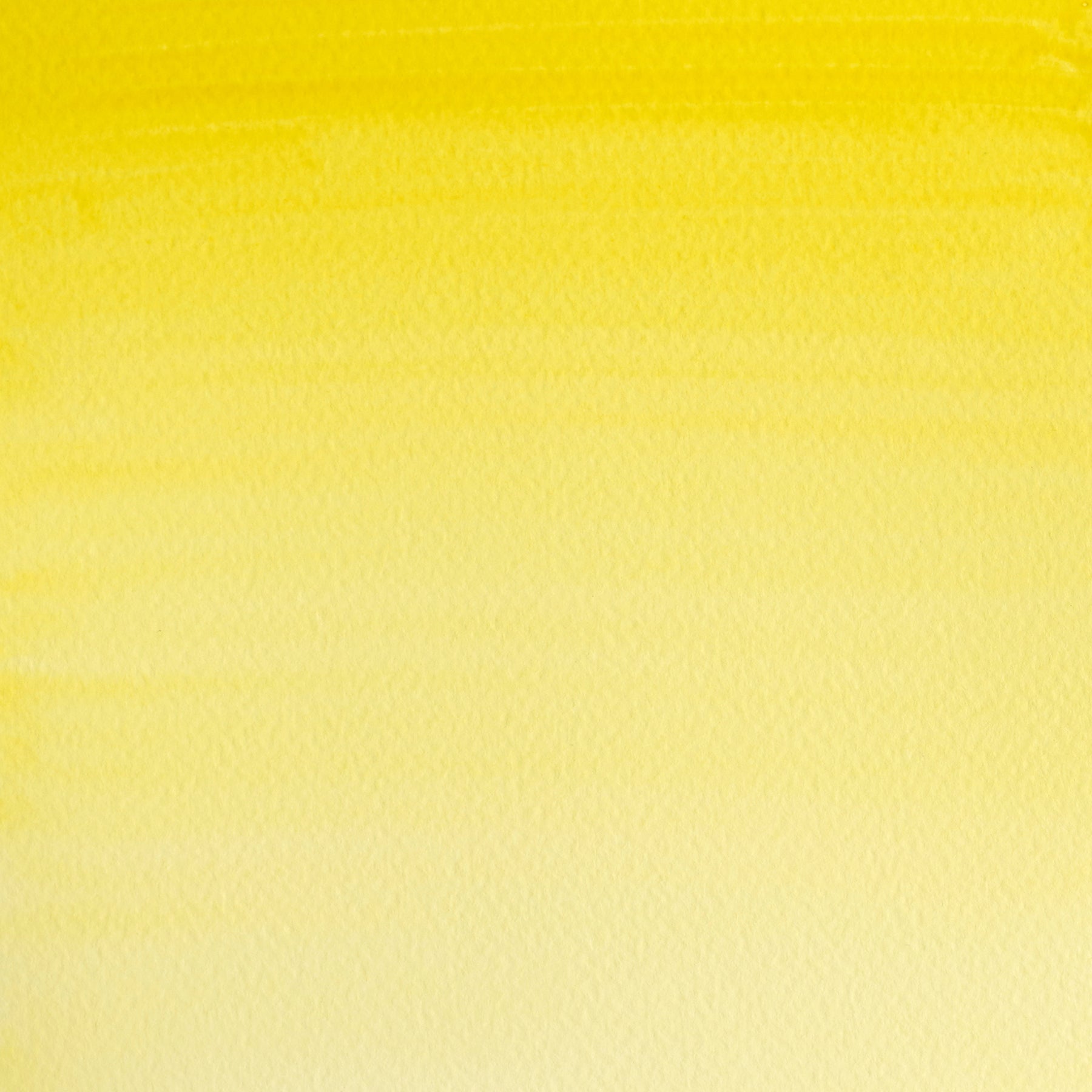 CWC Half Pan - Lemon Yellow Hue