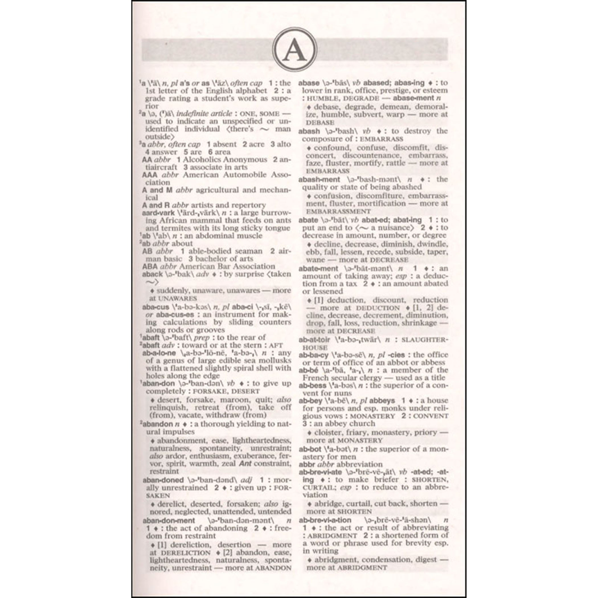 Dictionary and Thesaurus, Mass-Market Paperback, 2020 Copyright