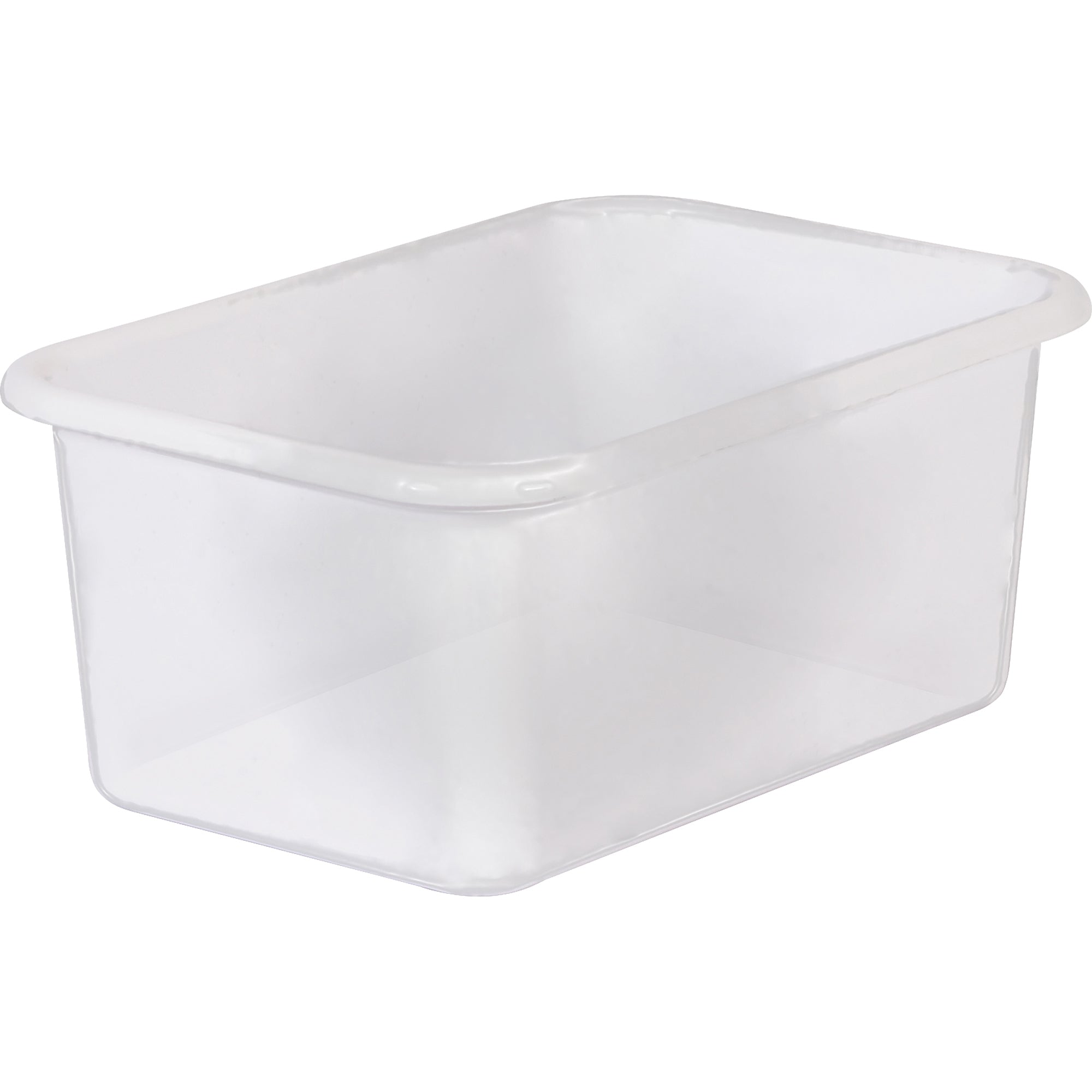 Small Plastic Storage Bin, Clear