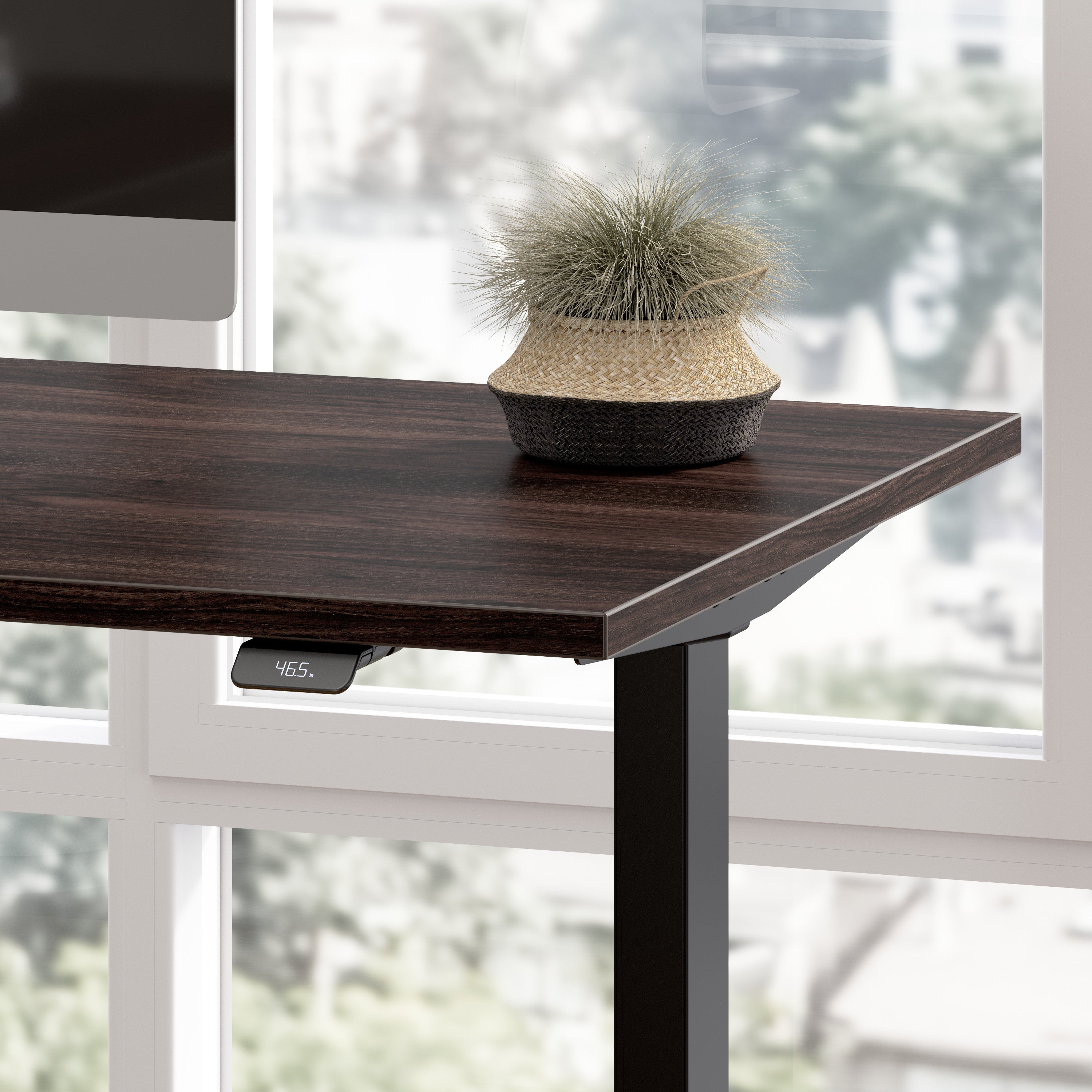Bush Business Furniture Move 60 Series 72W x 30D Electric Height Adjustable Standing Desk in Black Walnut with Black Base - 71.02" Width x 29.37" Depth x 47.69" Height