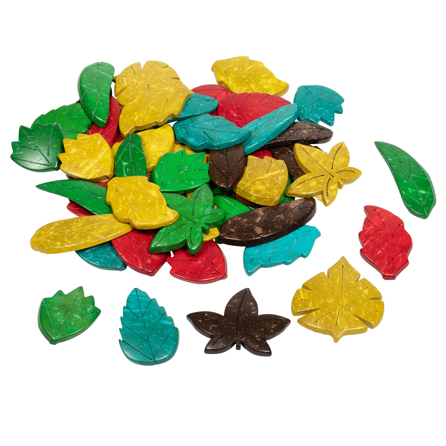 Coconut Leaves, Set of 50