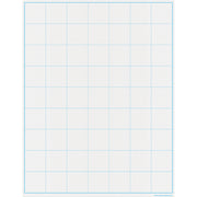 Graphing Grid Large Squares Write-on/Wipe-off Chart