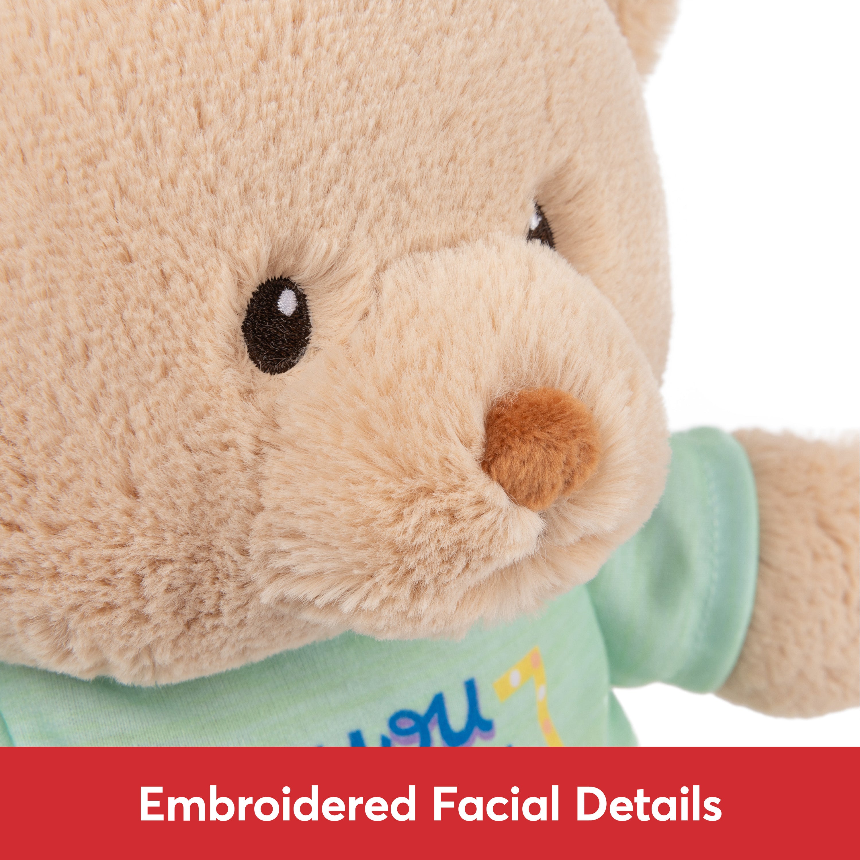 GUND “You Got This” Sustainable Message Bear with Green T-Shirt, Teddy Bear Made from 100% Recycled Materials for Ages 1 and Up, Tan, 12”