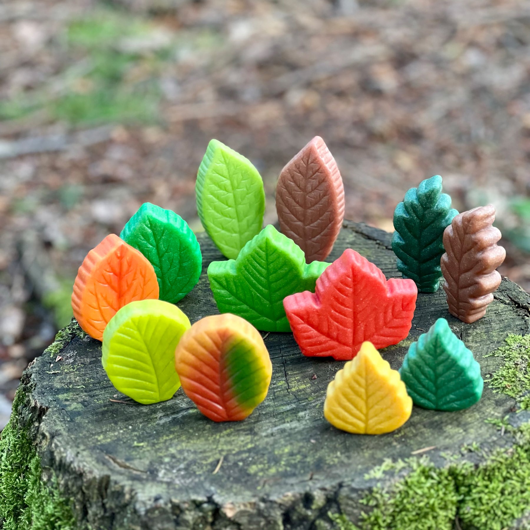 Sensory Play Stones - Leaves - Set of 12