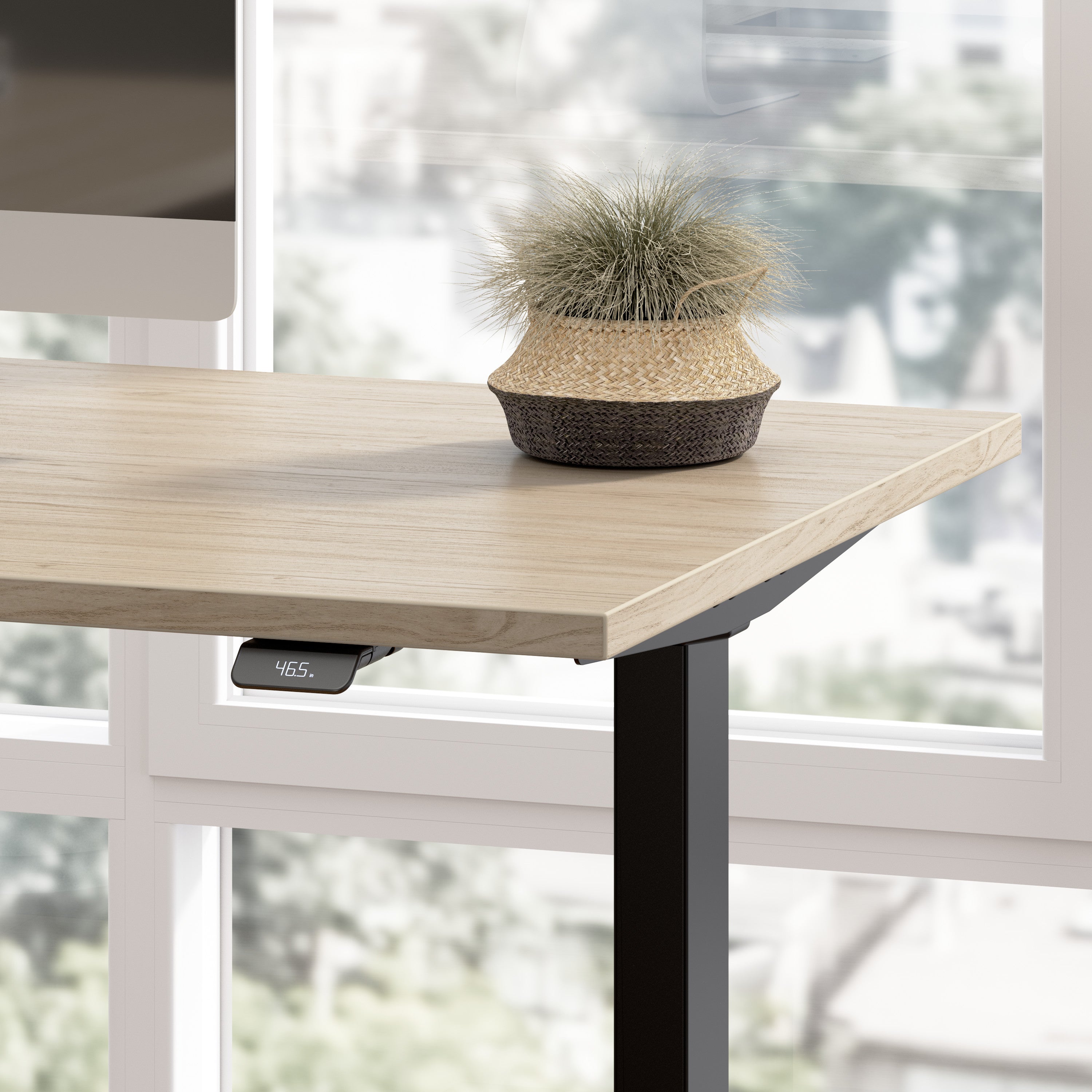 Bush Business Furniture Move 60 Series 48W x 24D Electric Height Adjustable Standing Desk in Natural Elm with Black Base - 47.6" Width x 23.62" Depth x 47.69" Height