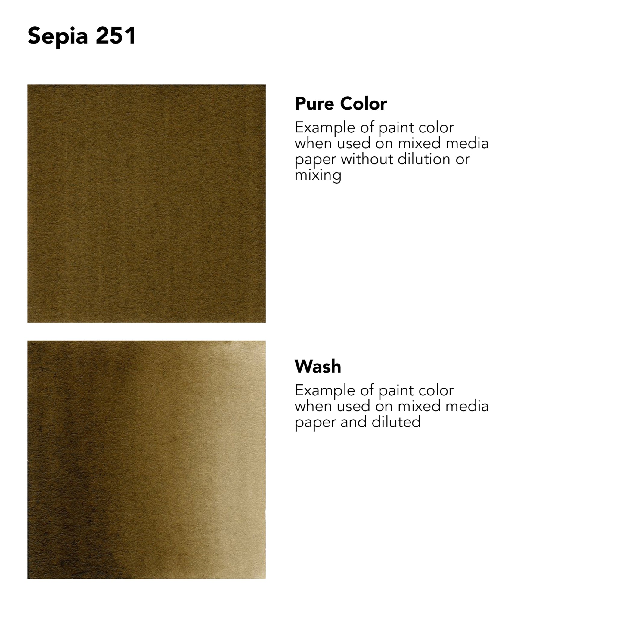 FW Acrylic Ink, Sepia, 29.5ml, 1 Count
