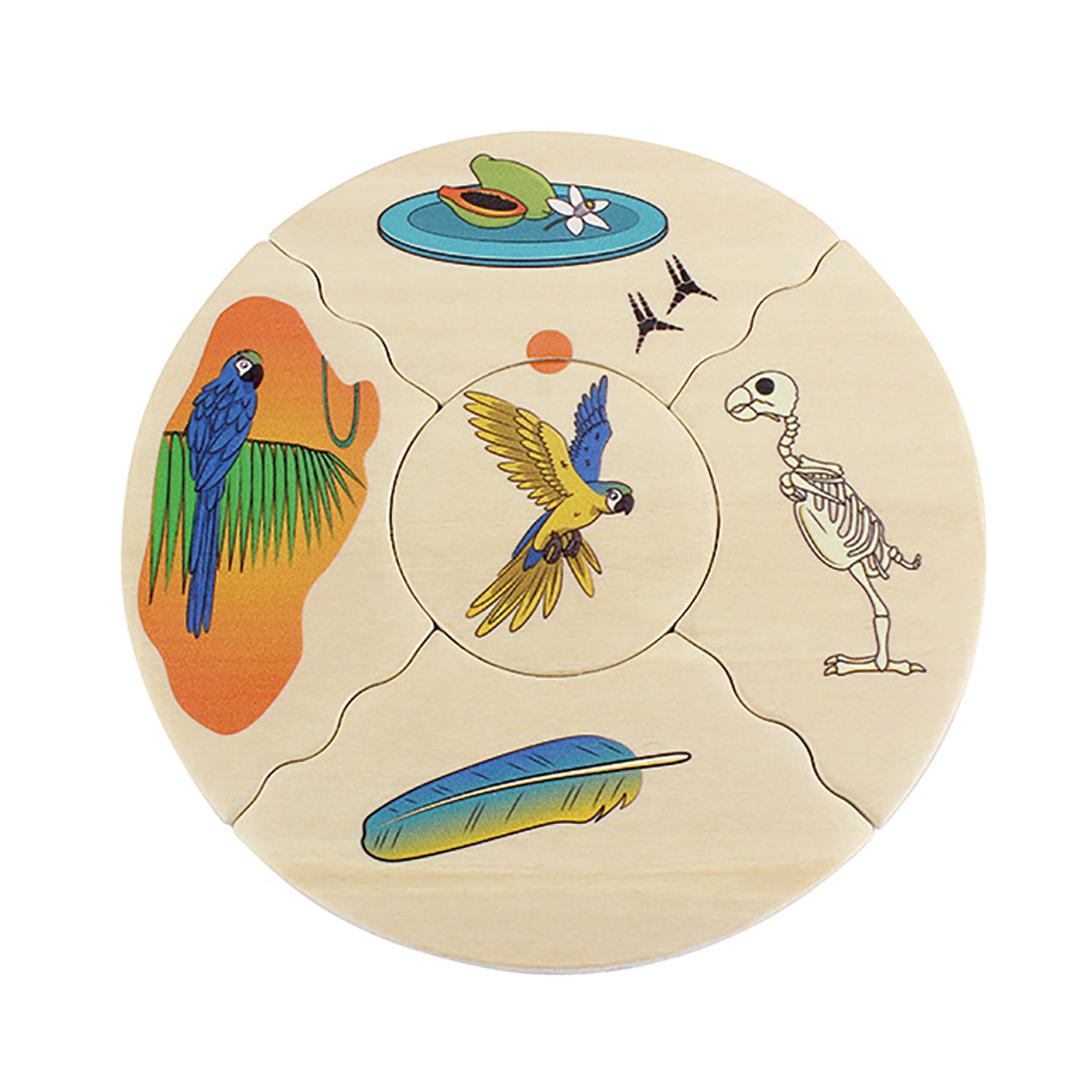 Nawito Animal Species Puzzles