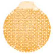 Tidal Wave Summer Sunshine (36 Pack)