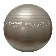 65Cm Exercise Ball - Grey