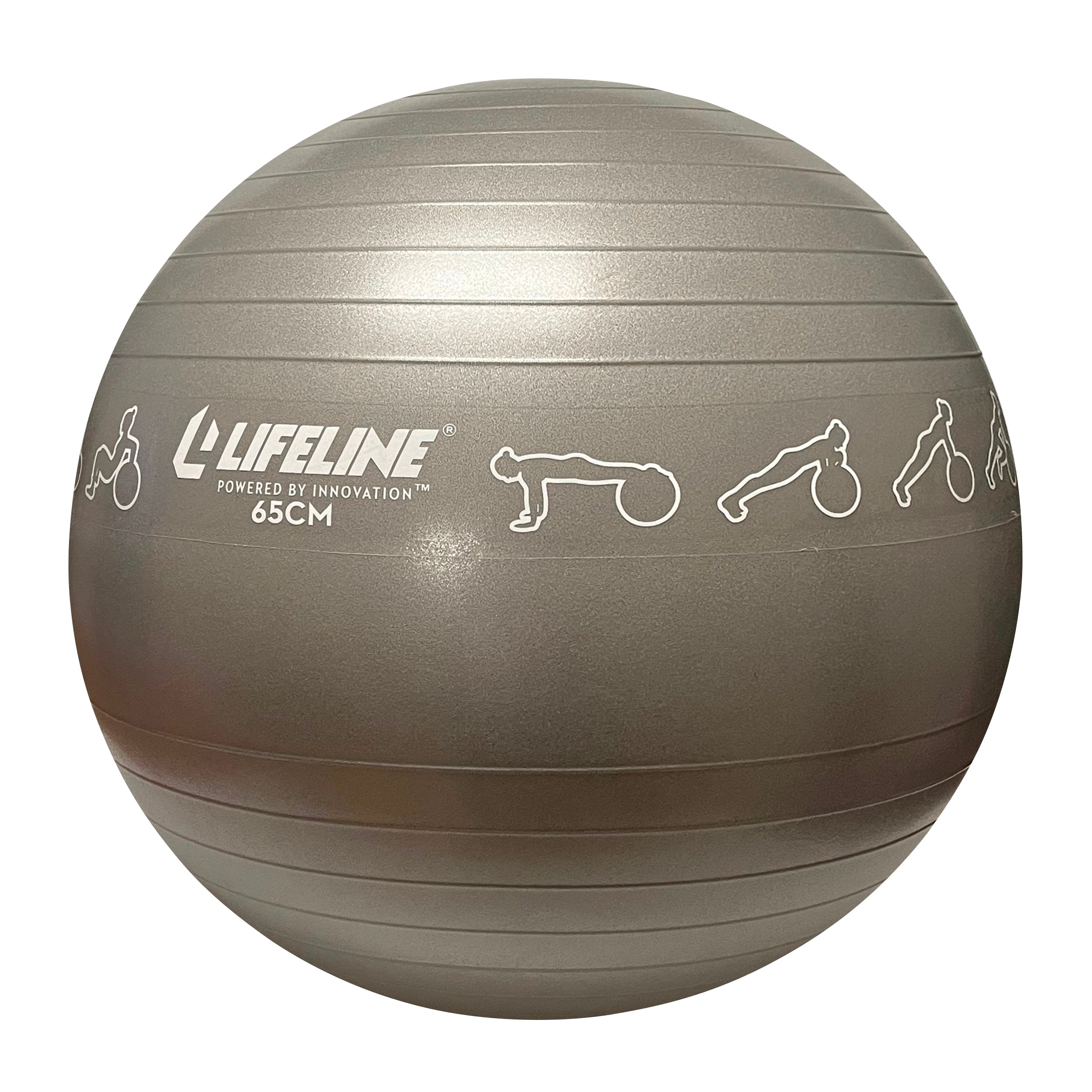 65Cm Exercise Ball - Grey