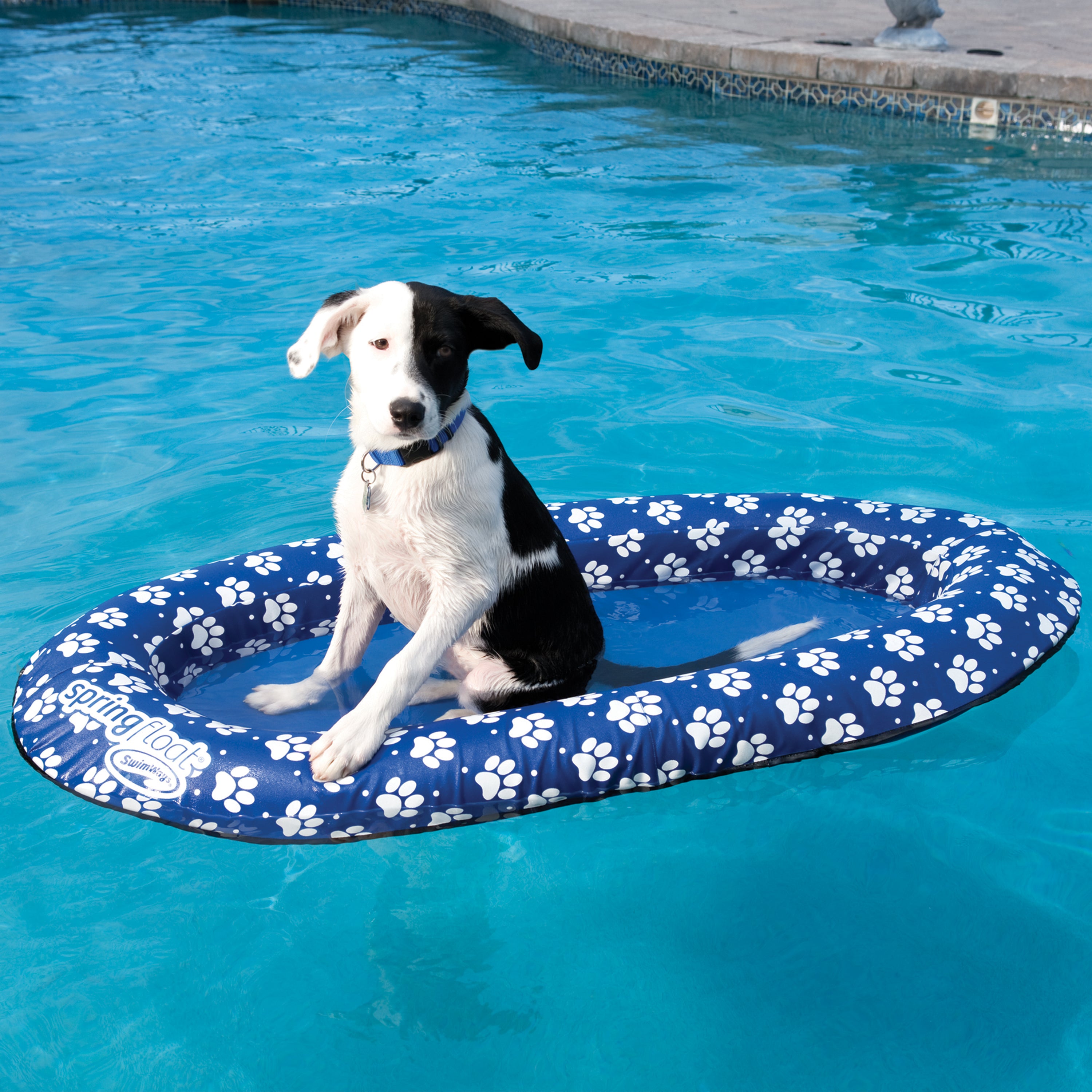SwimWays Paddle Paws Spring Float Dog Raft, Portable Inflatable Dog Pool Floats with Carrying Case, Small 0-65 lbs, Blue
