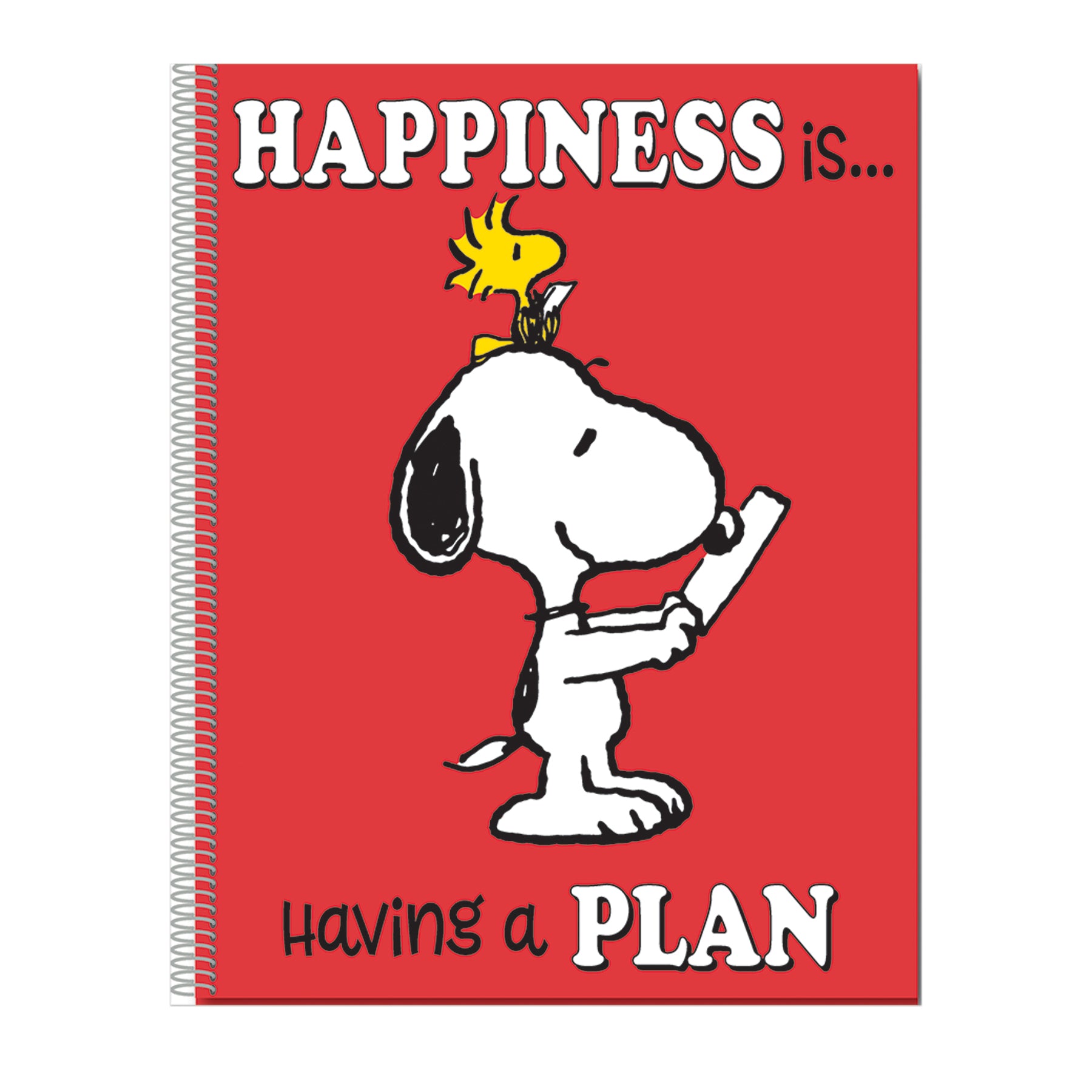 Peanuts® Lesson Plan & Record Book